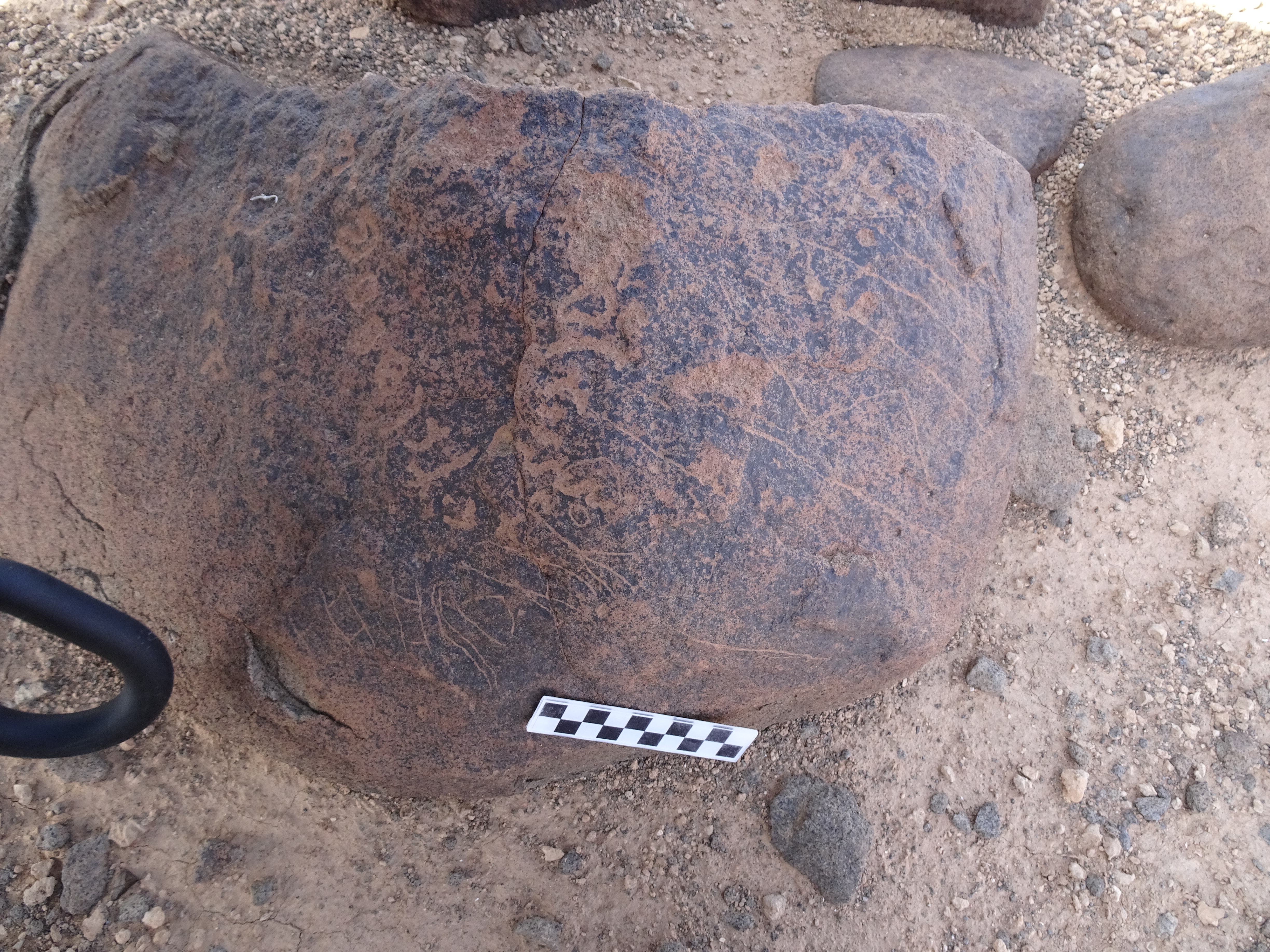 Image of siglum BES20 1738