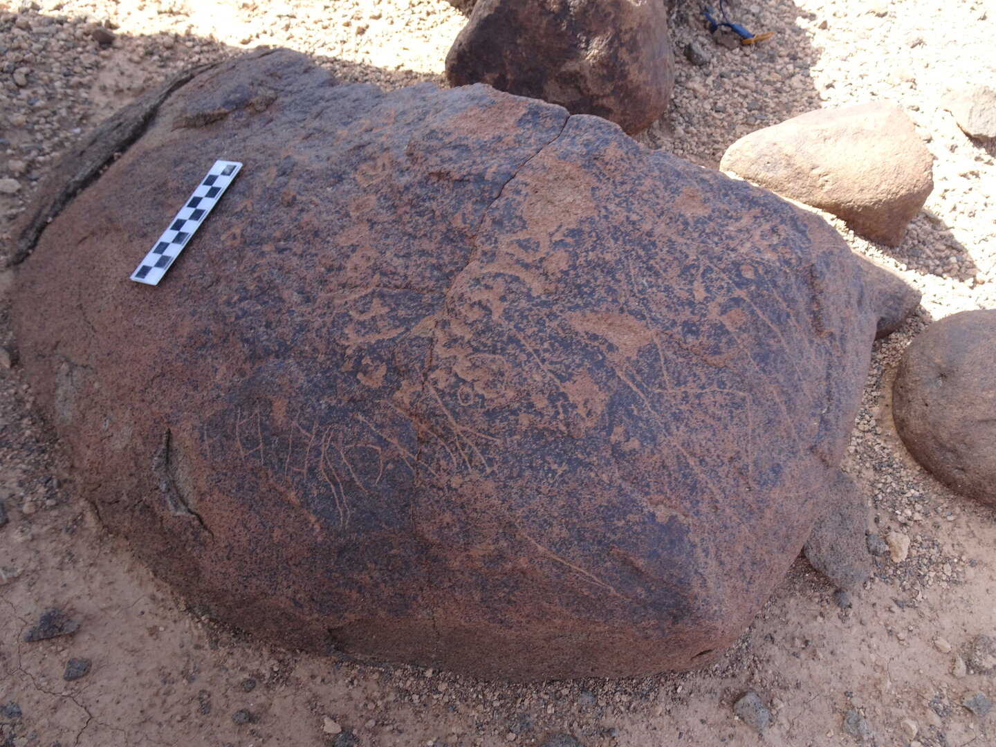 Image of siglum BES20 1739