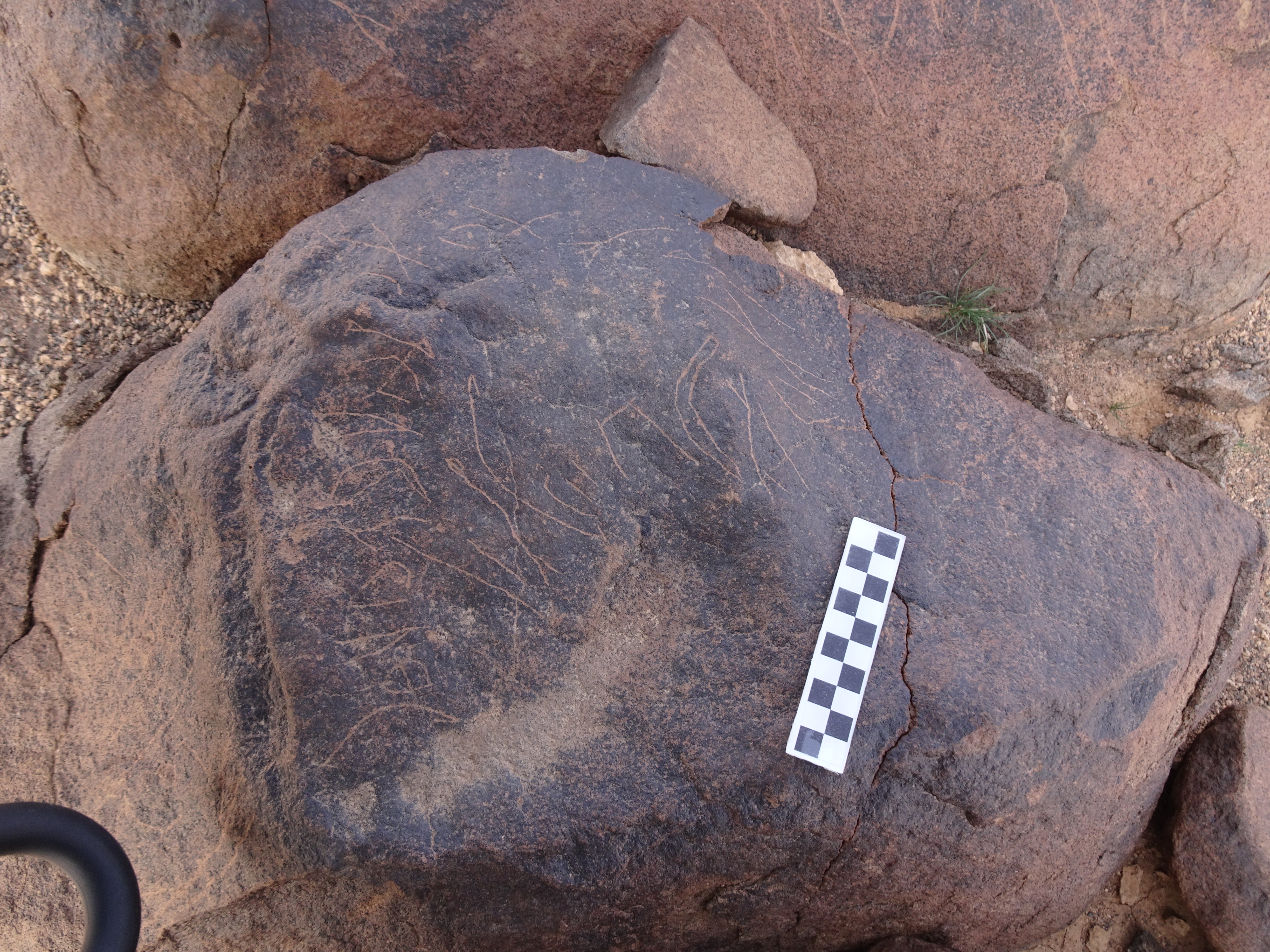 Image of siglum BES20 1740