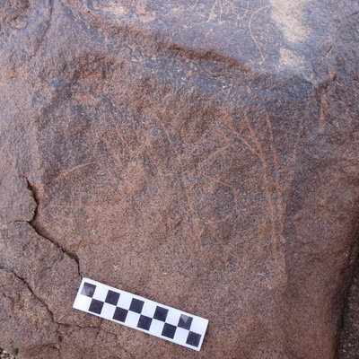 Image of siglum BES20 1741