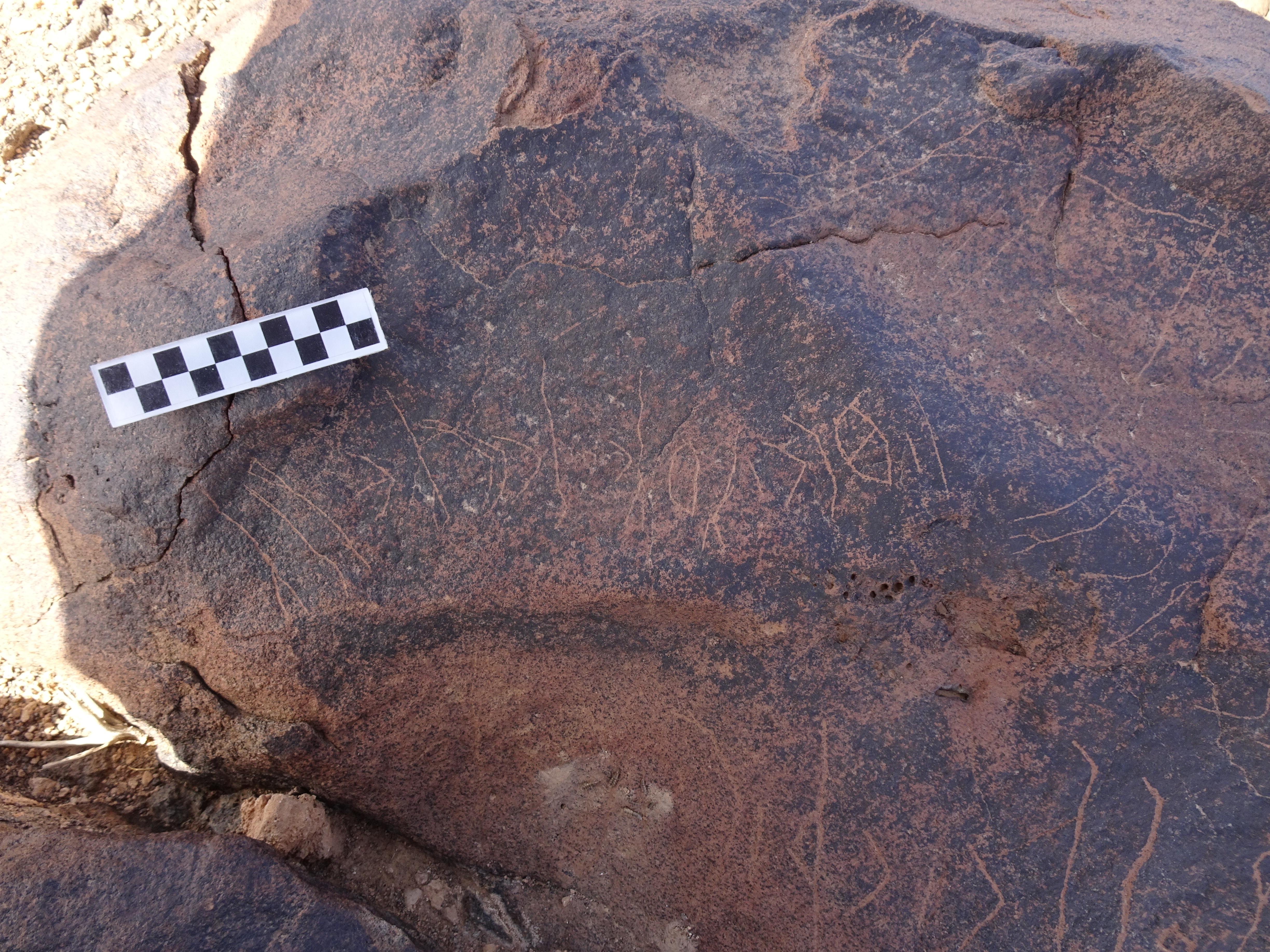 Image of siglum BES20 1742