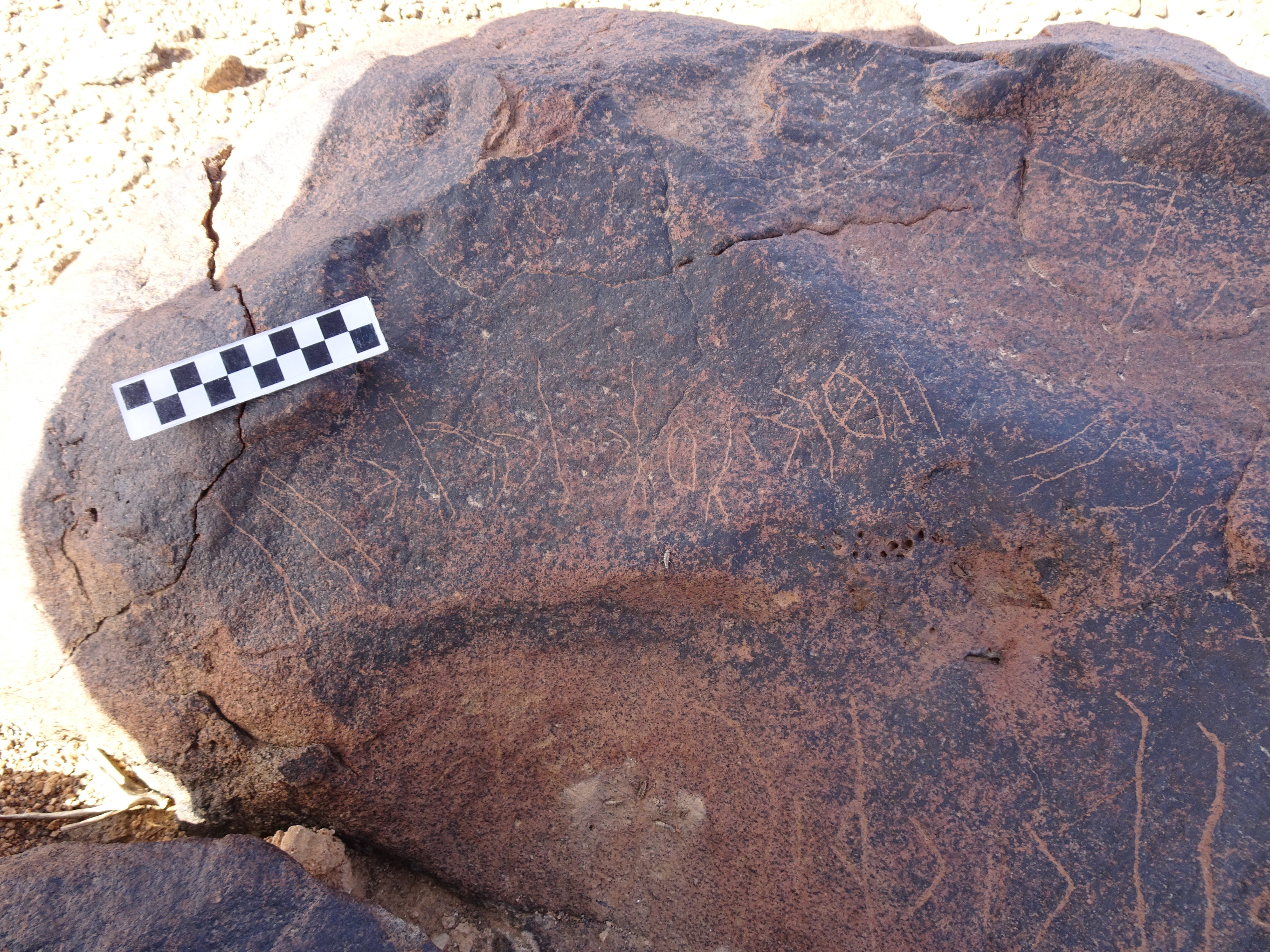 Image of siglum BES20 1742