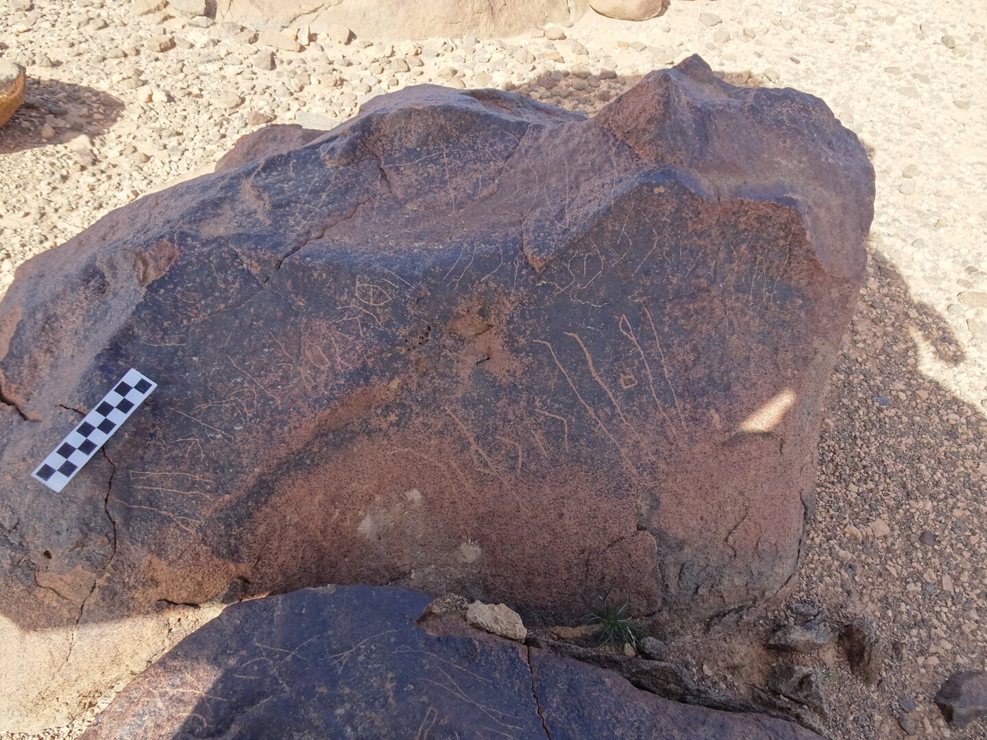 Image of siglum BES20 1743