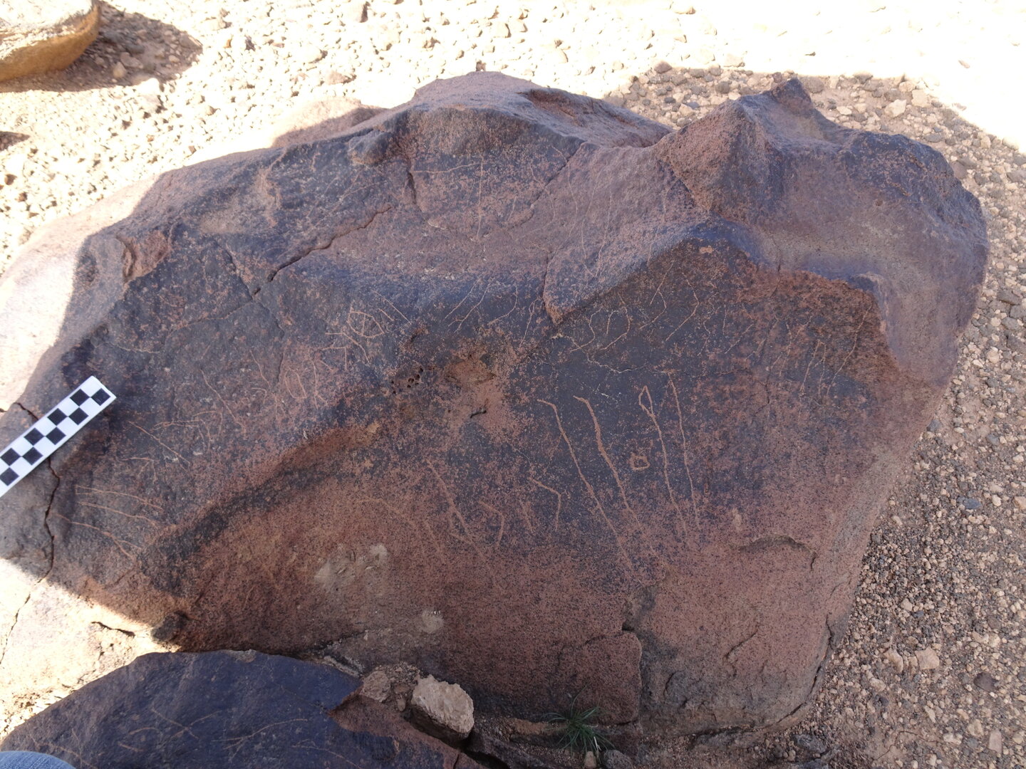 Image of siglum BES20 1743