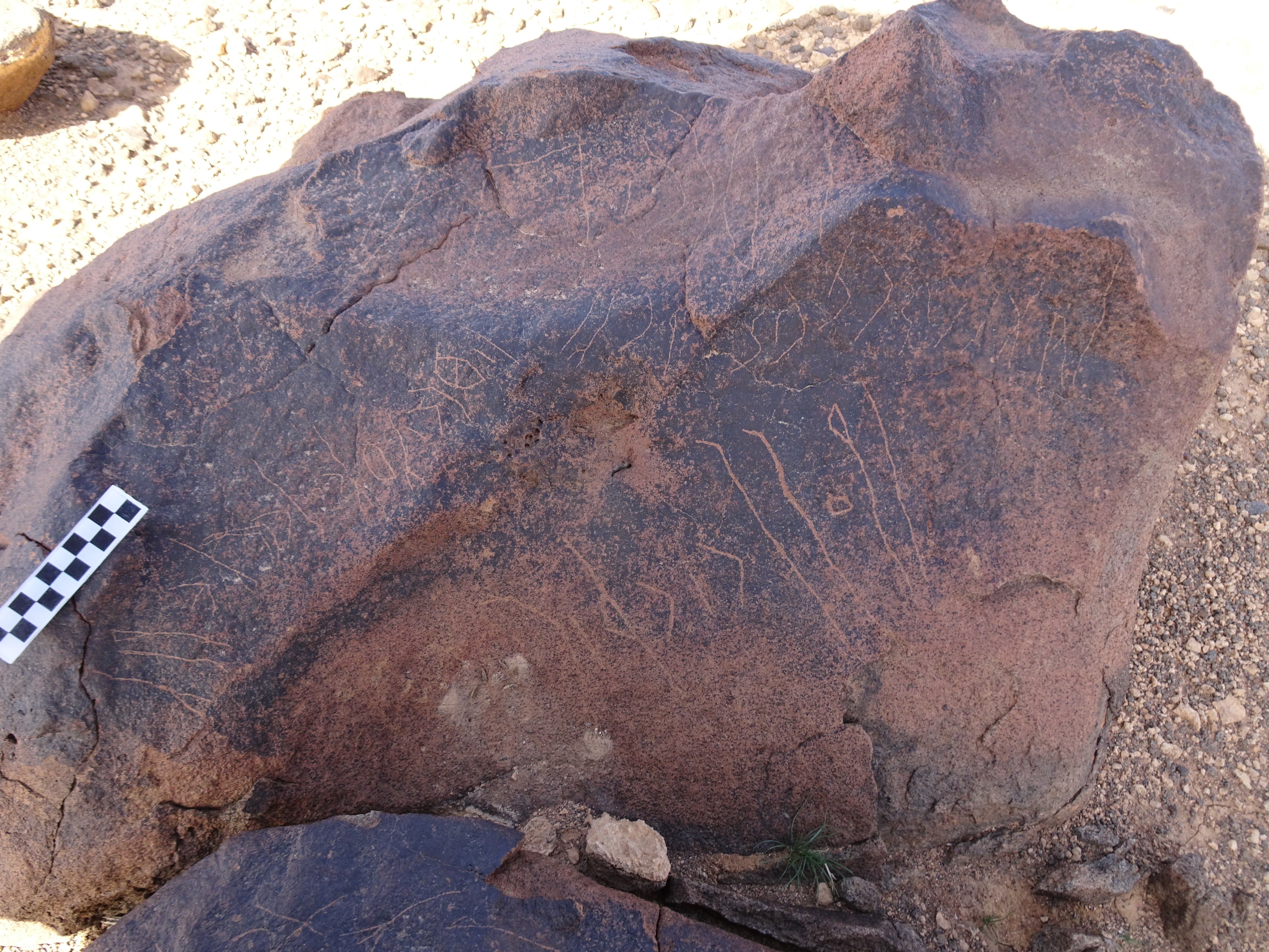 Image of siglum BES20 1745