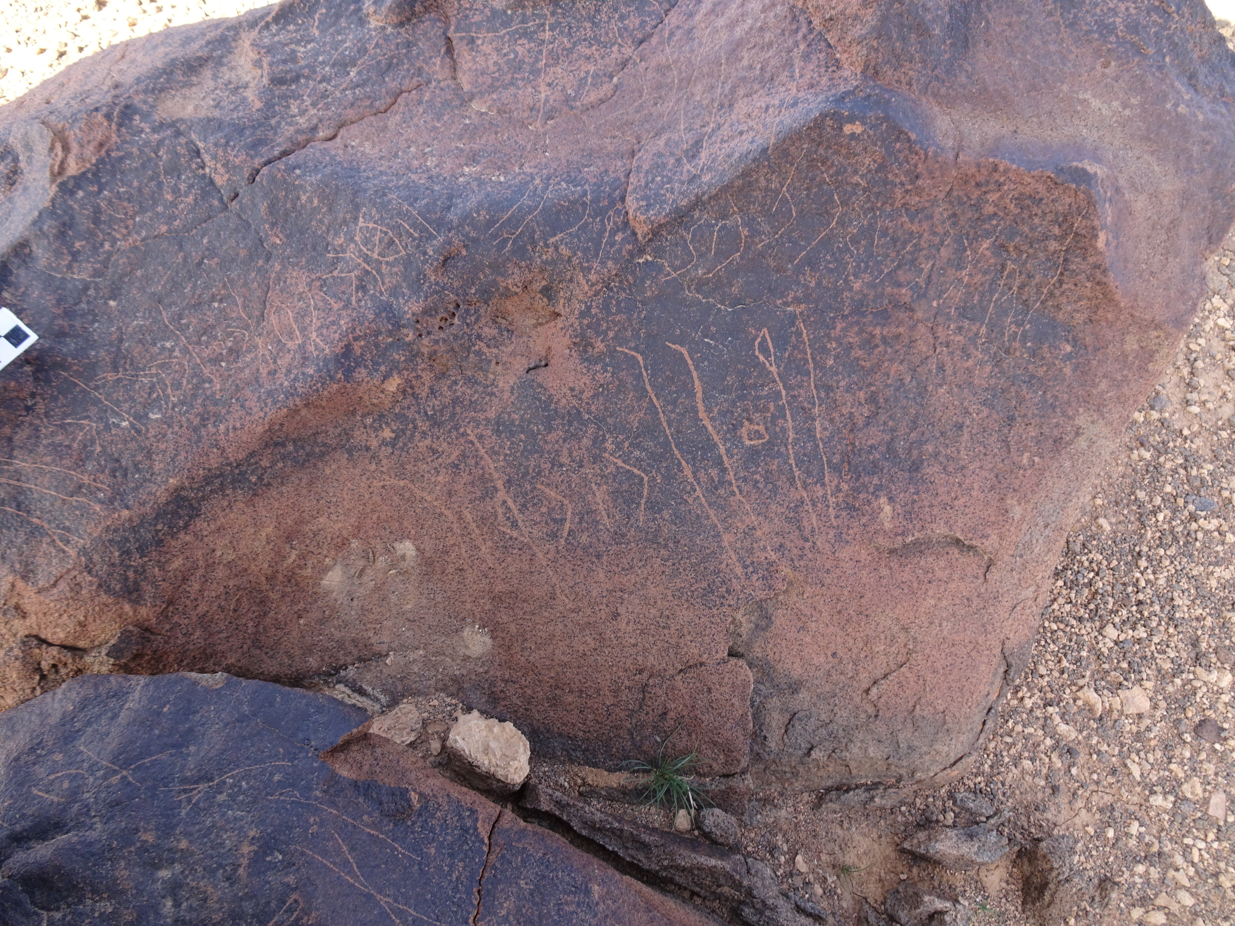 Image of siglum BES20 1745