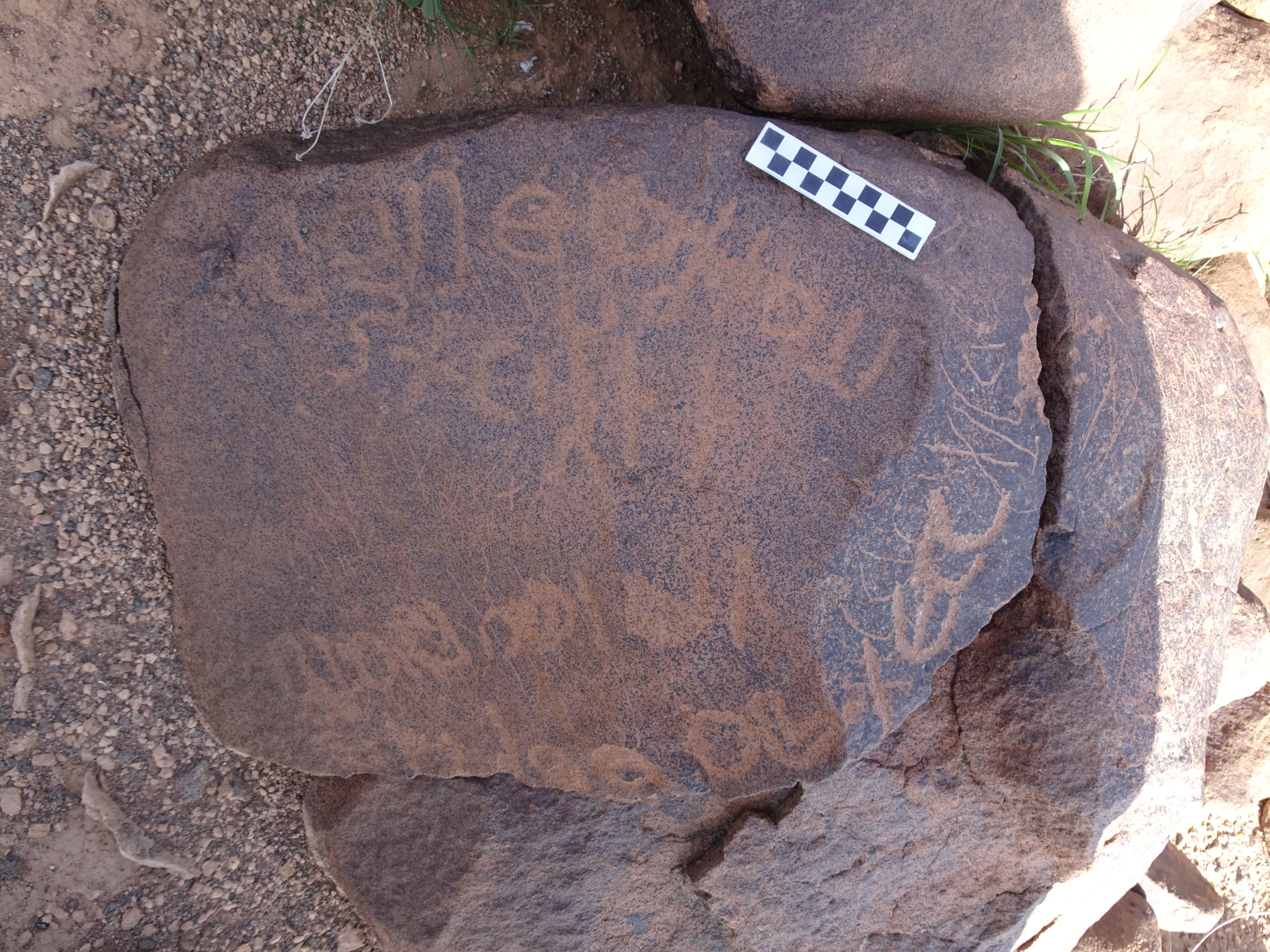 Image of siglum BES20 1749