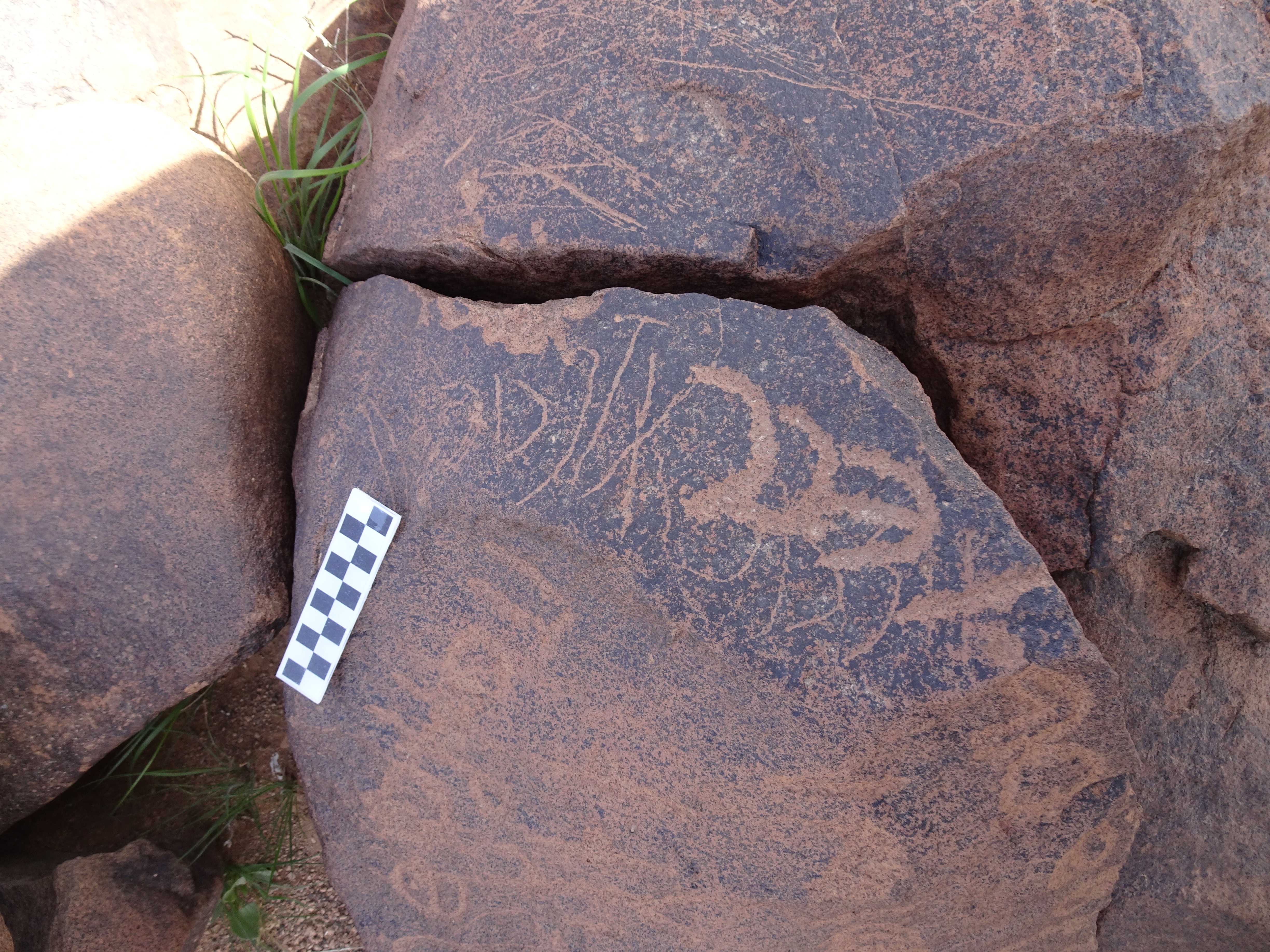 Image of siglum BES20 1749