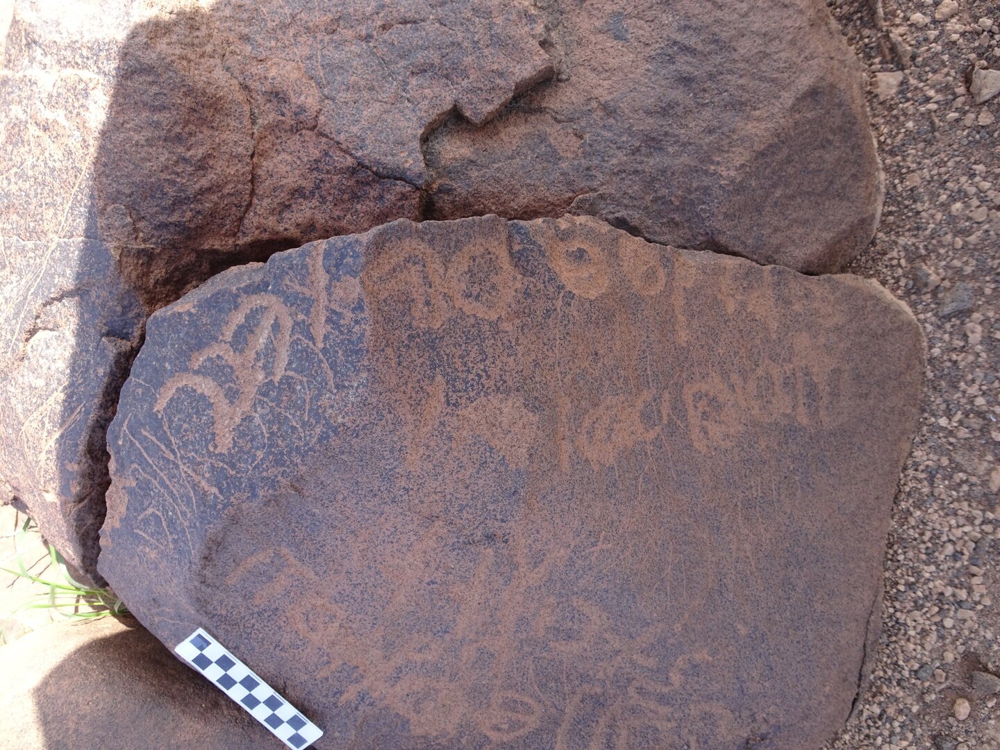 Image of siglum BES20 1749