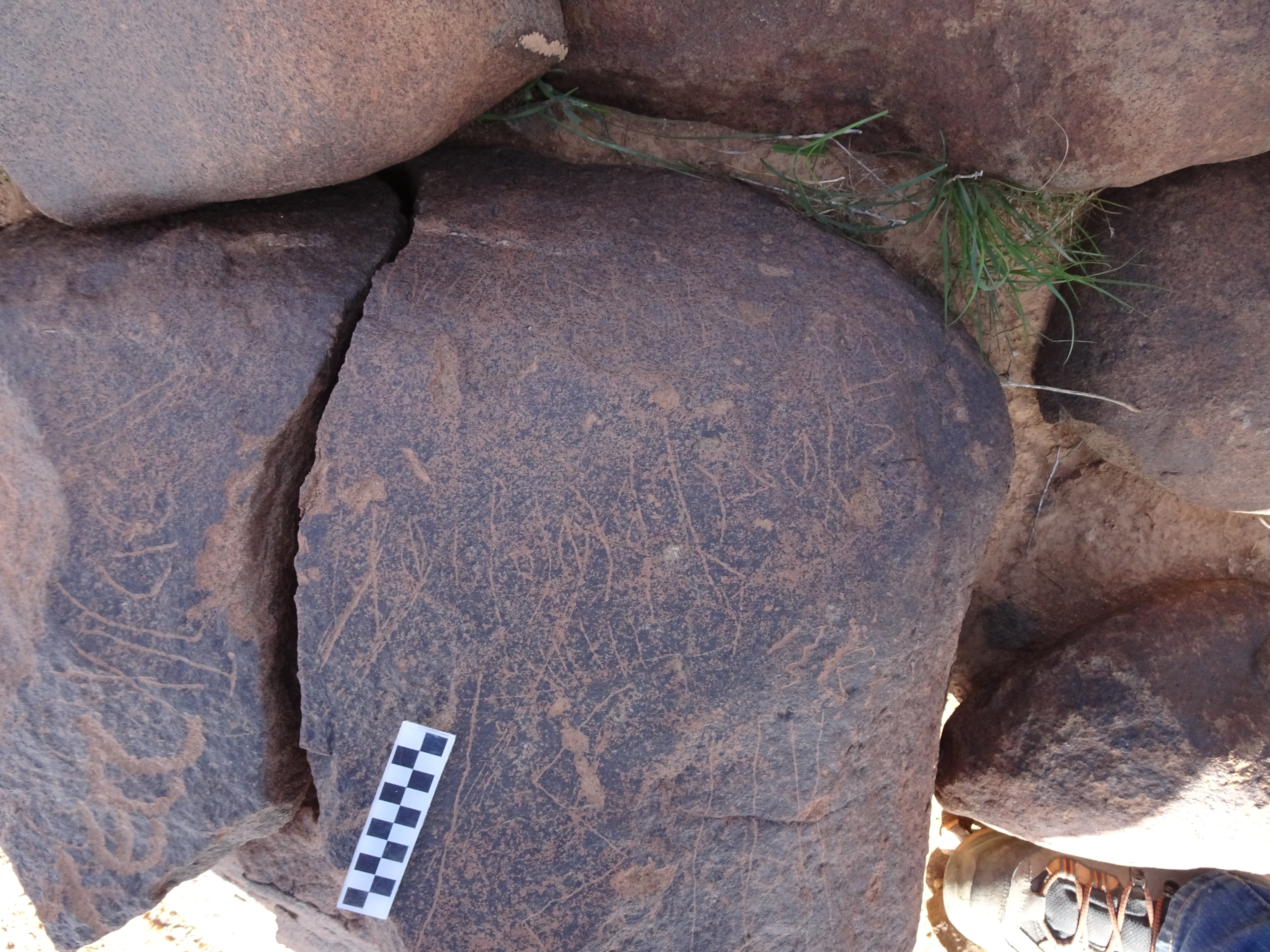 Image of siglum BES20 1750