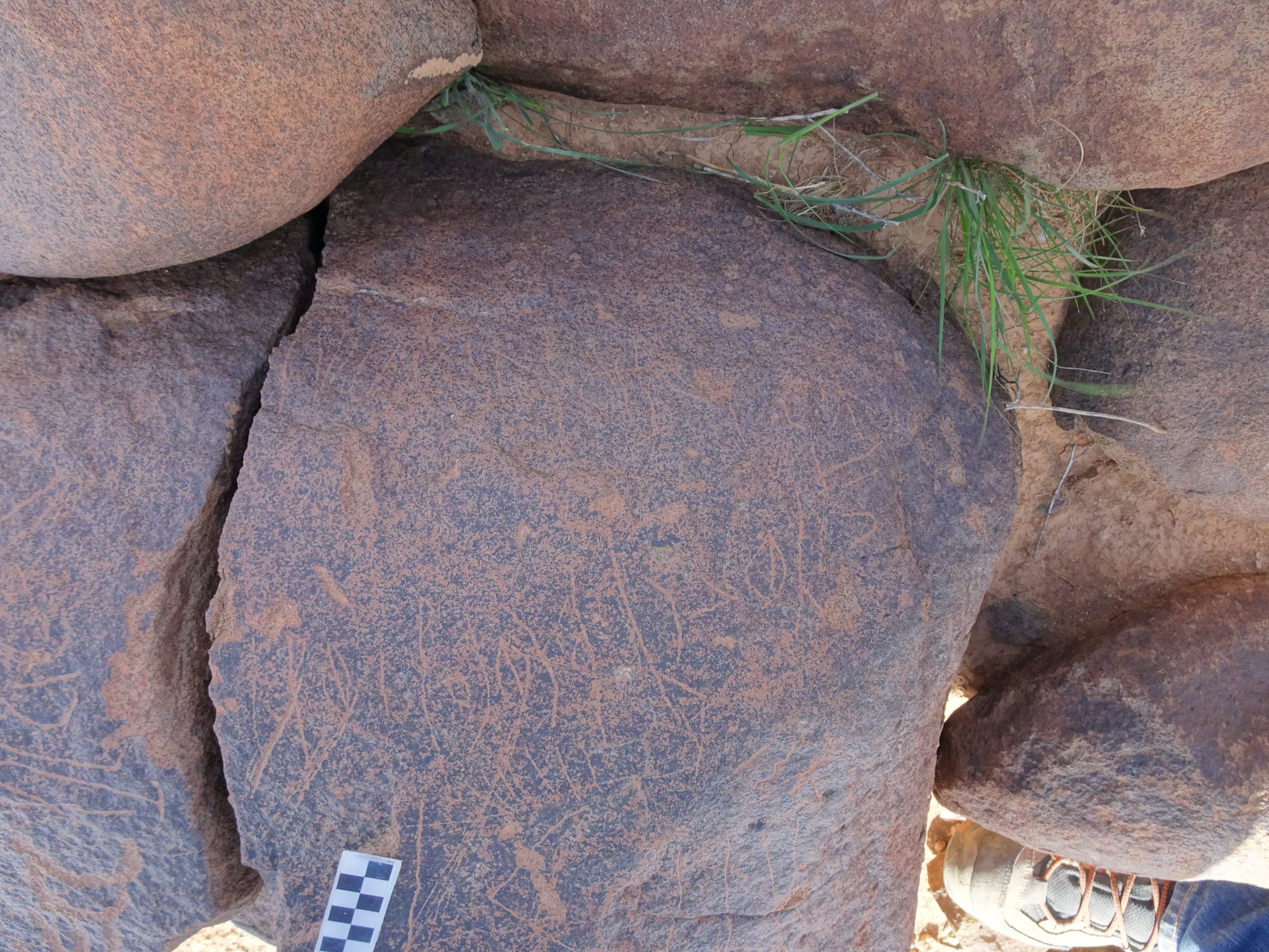 Image of siglum BES20 1750