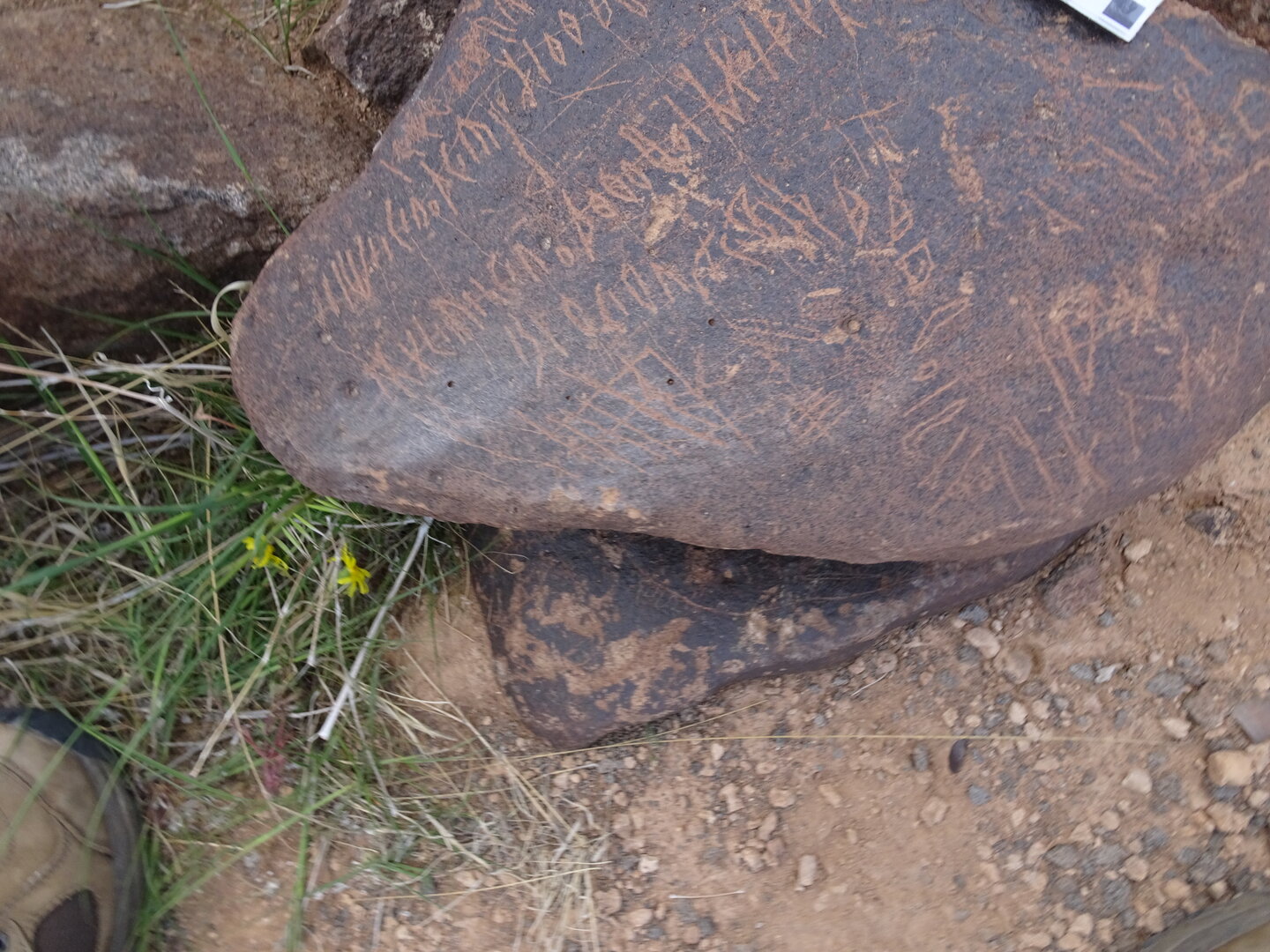 Image of siglum BES20 1752
