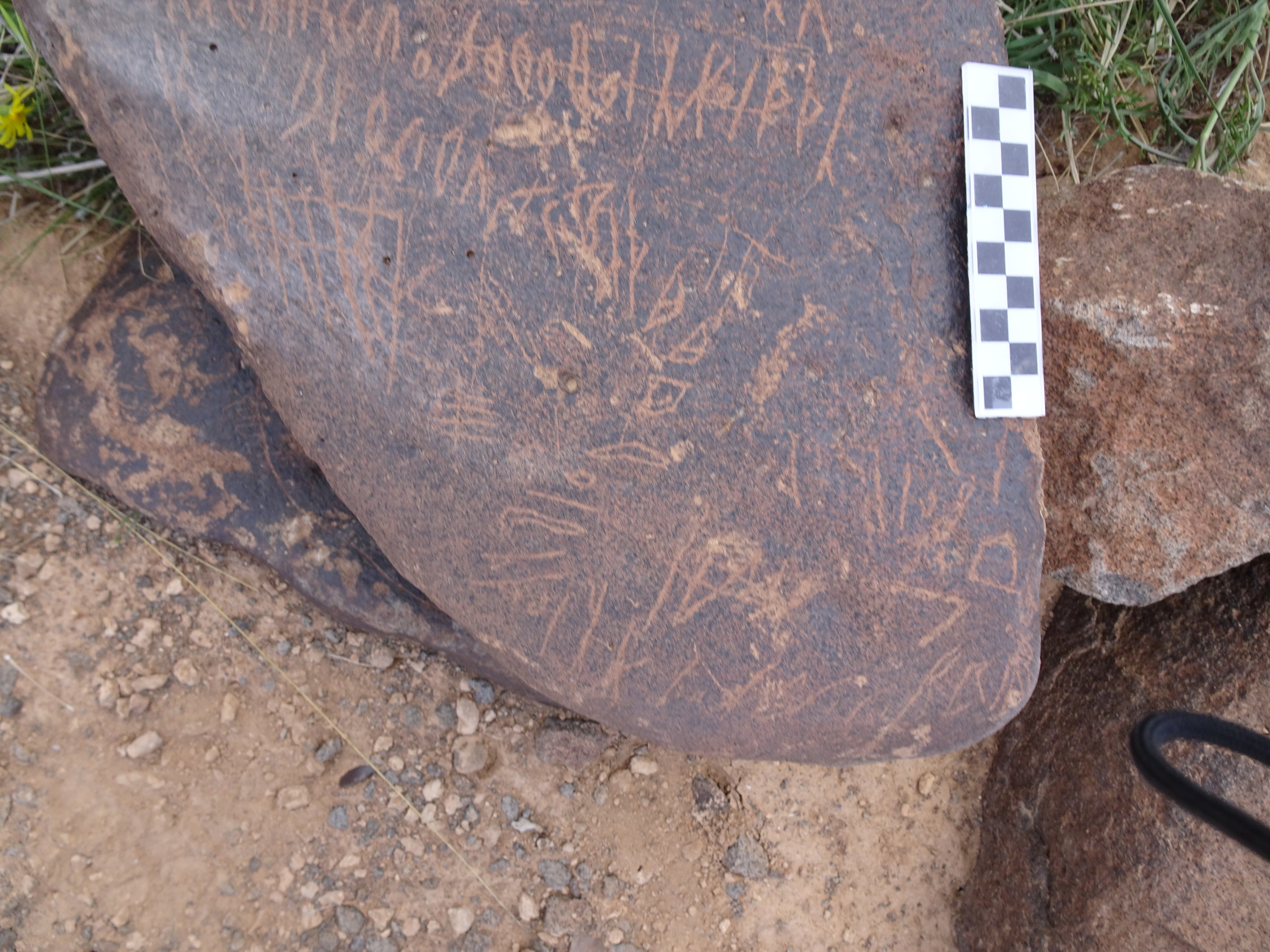 Image of siglum BES20 1755