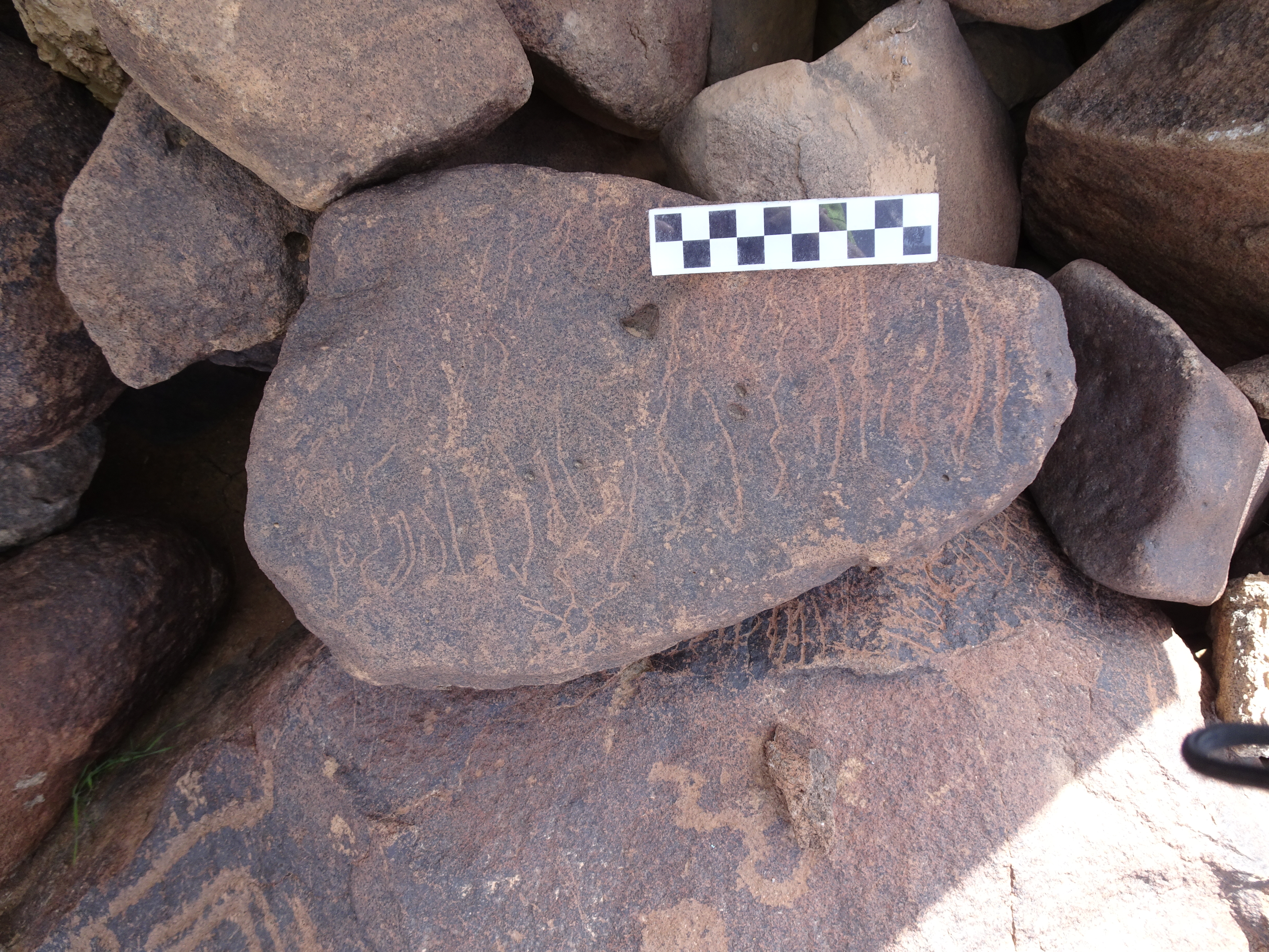 Image of siglum BES20 1762