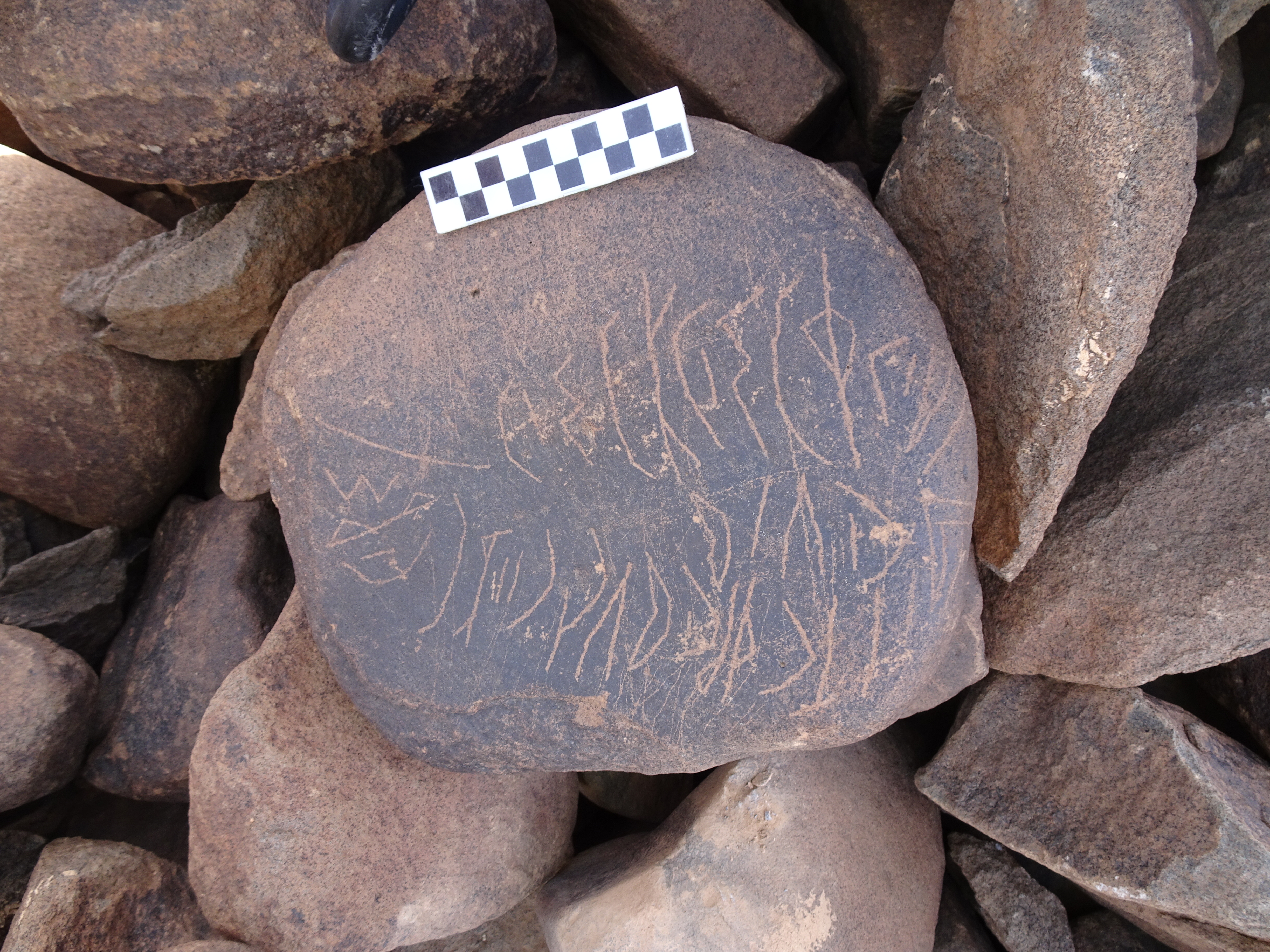 Image of siglum BES20 1764