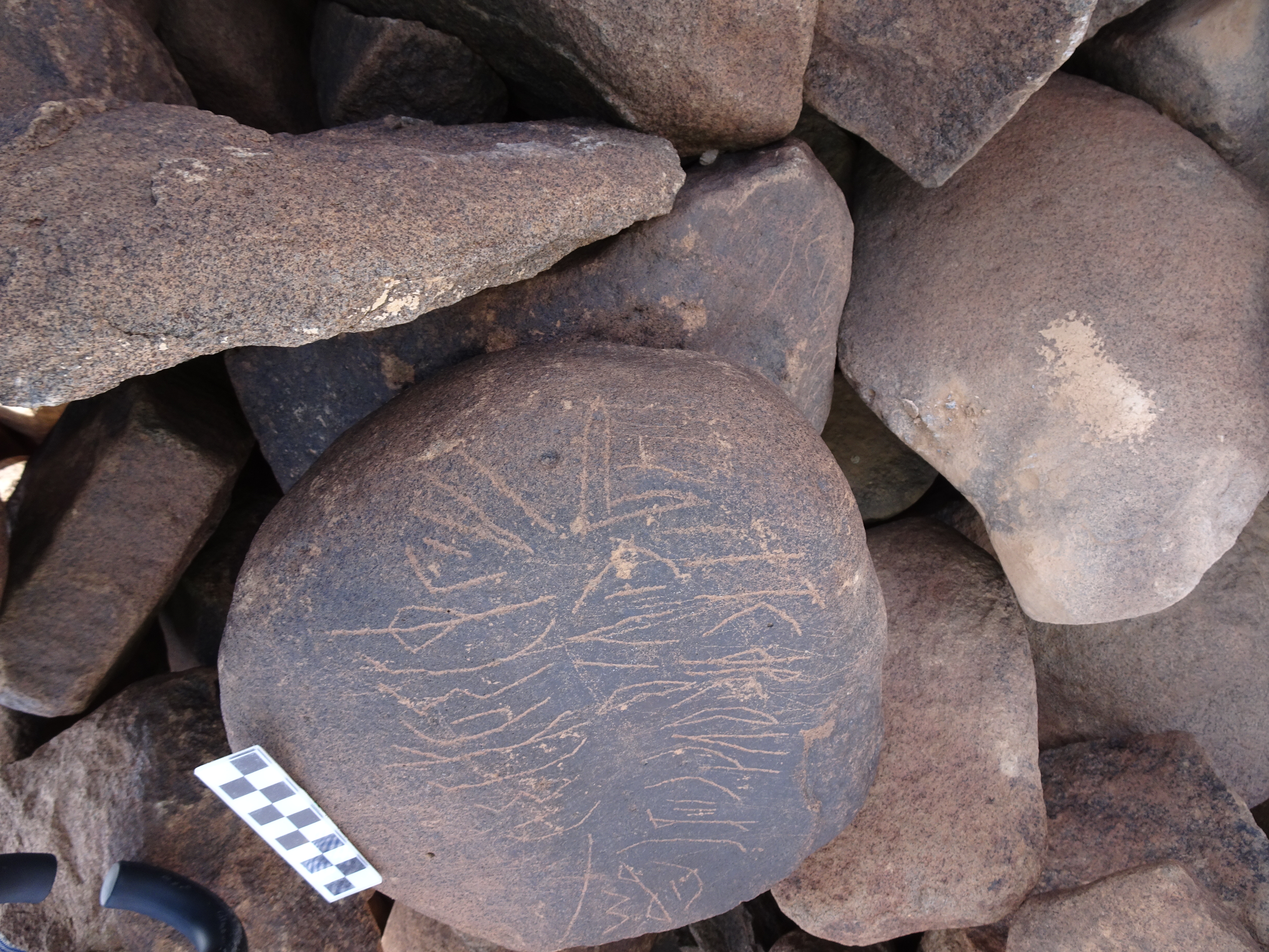 Image of siglum BES20 1764