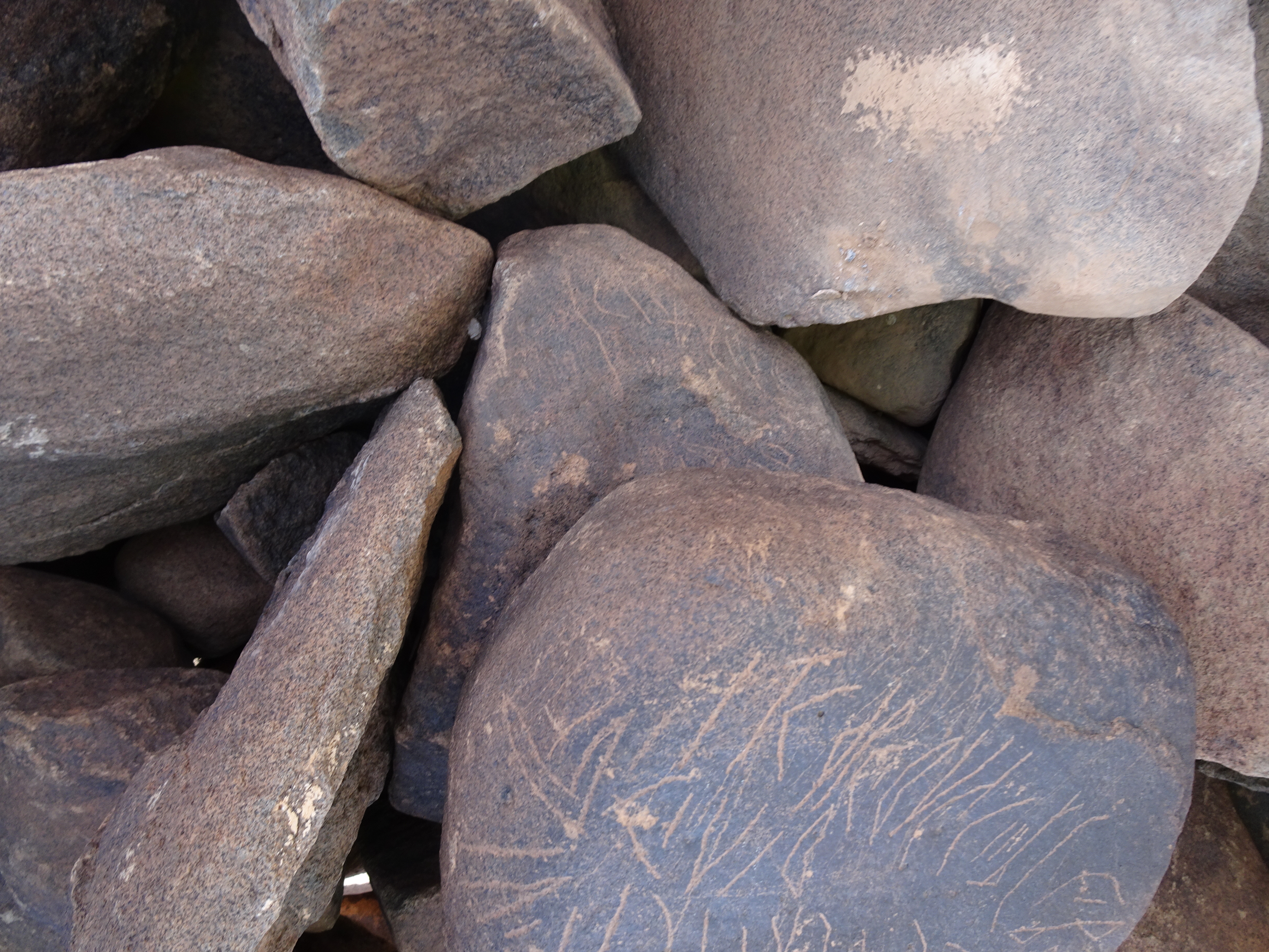 Image of siglum BES20 1764