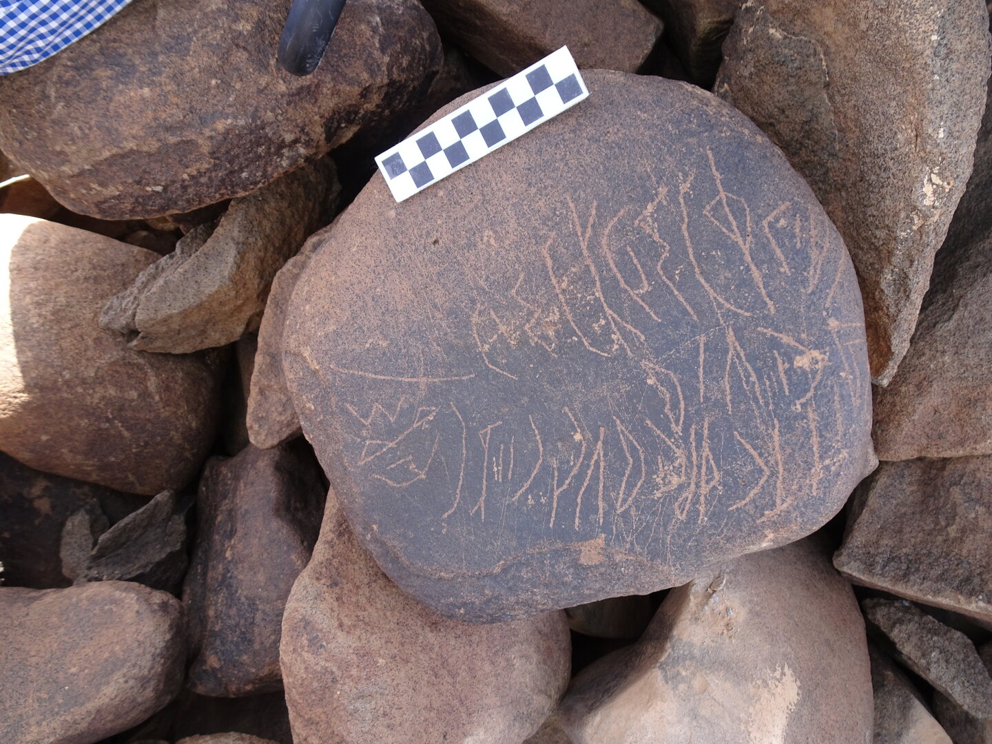 Image of siglum BES20 1764