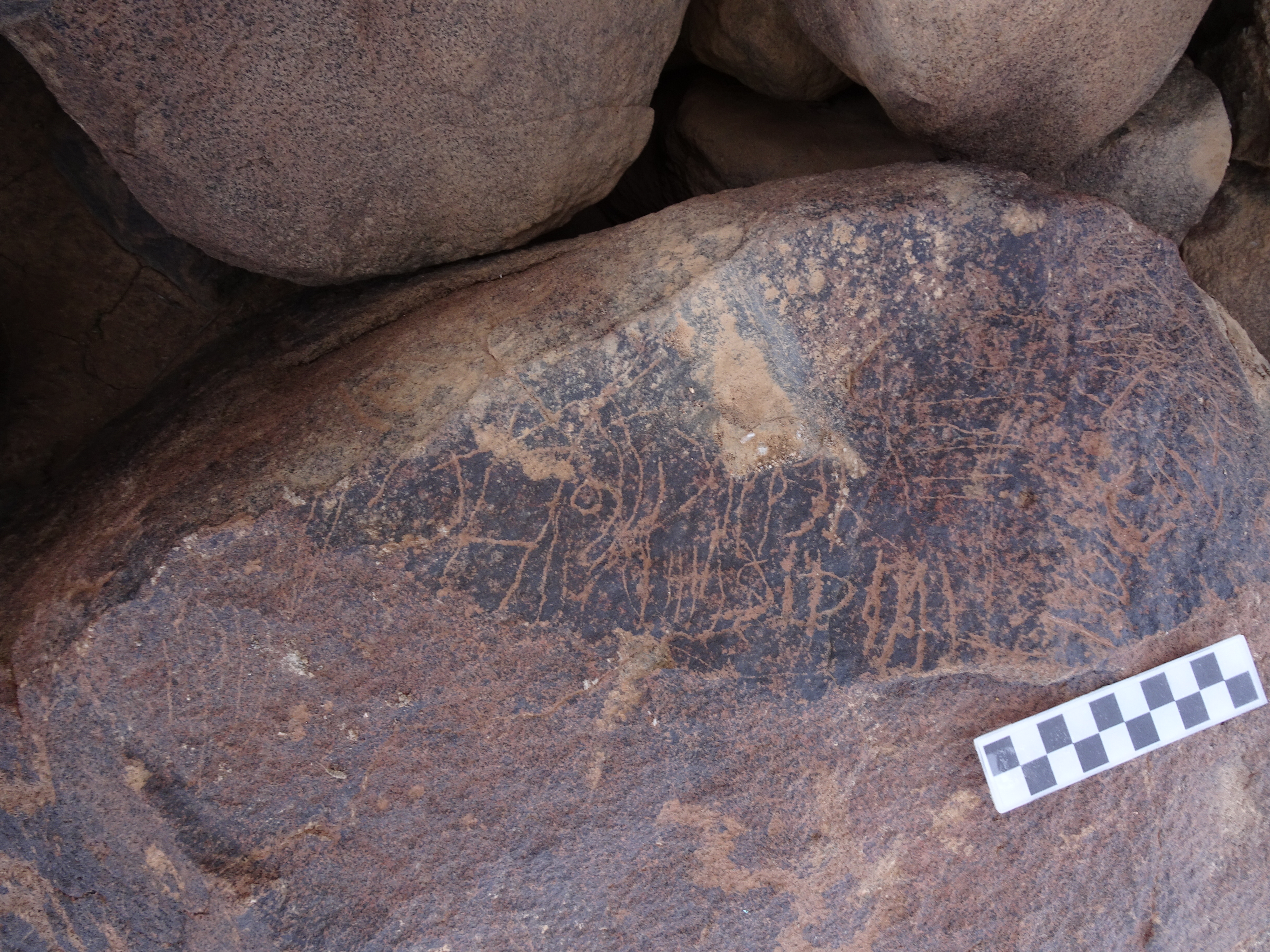 Image of siglum BES20 1770