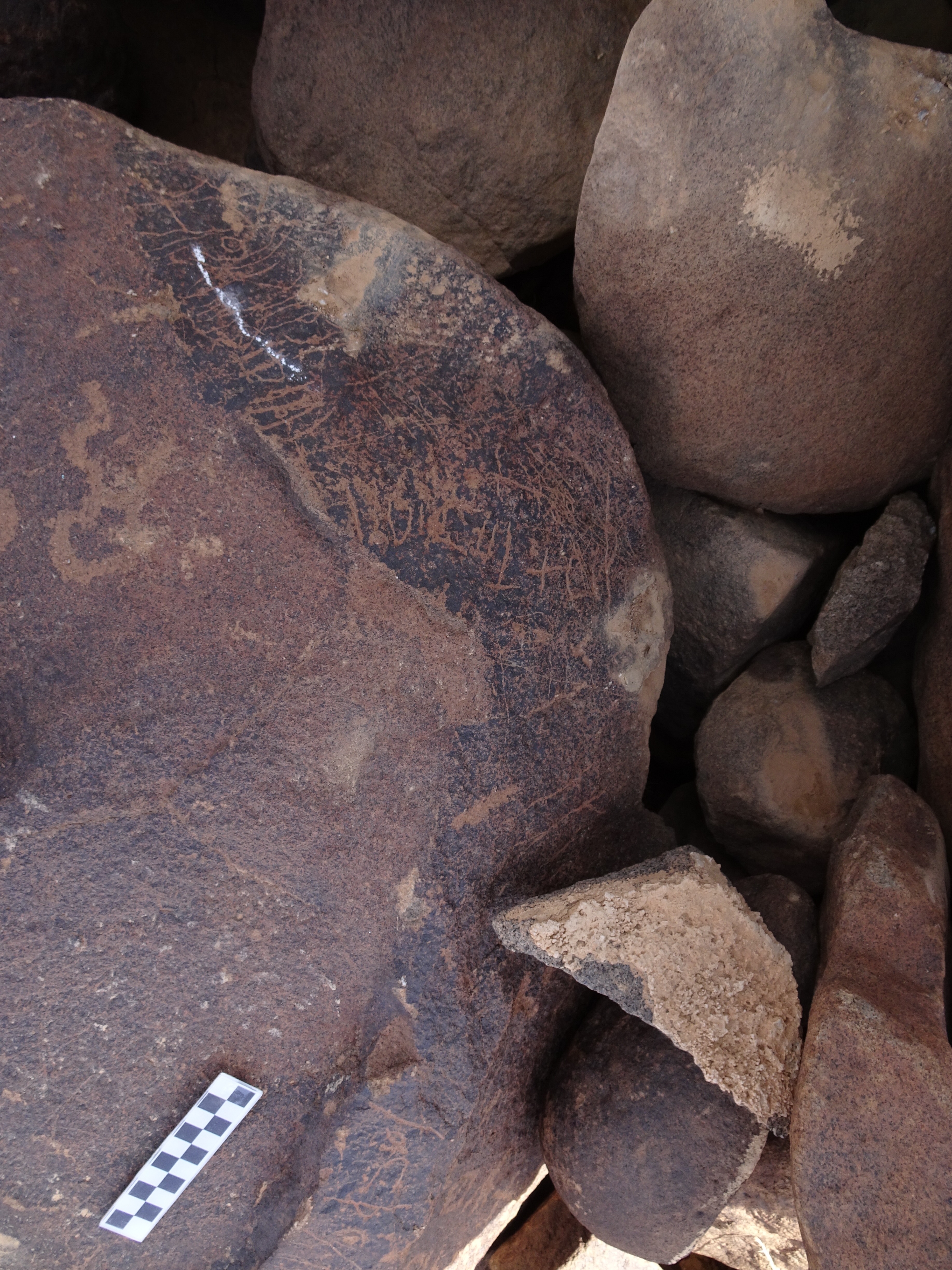 Image of siglum BES20 1770