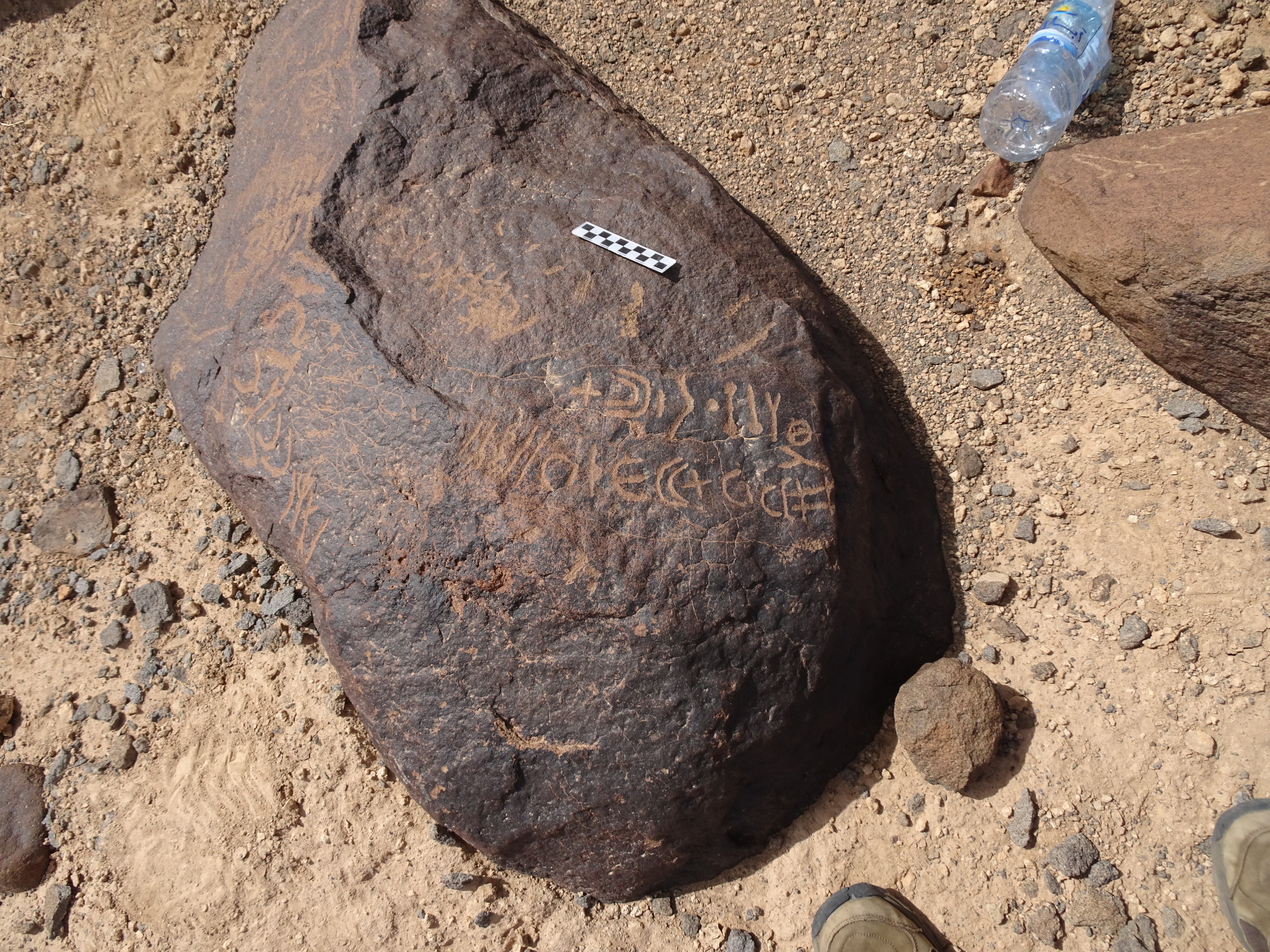 Image of siglum BES20 1772