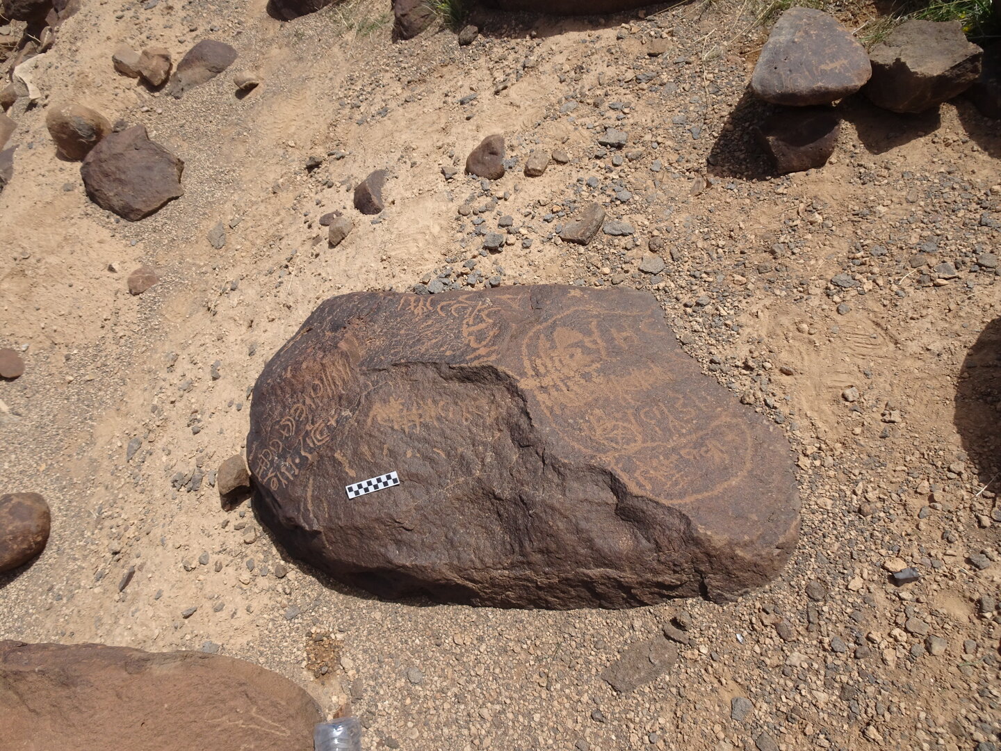 Image of siglum BES20 1774