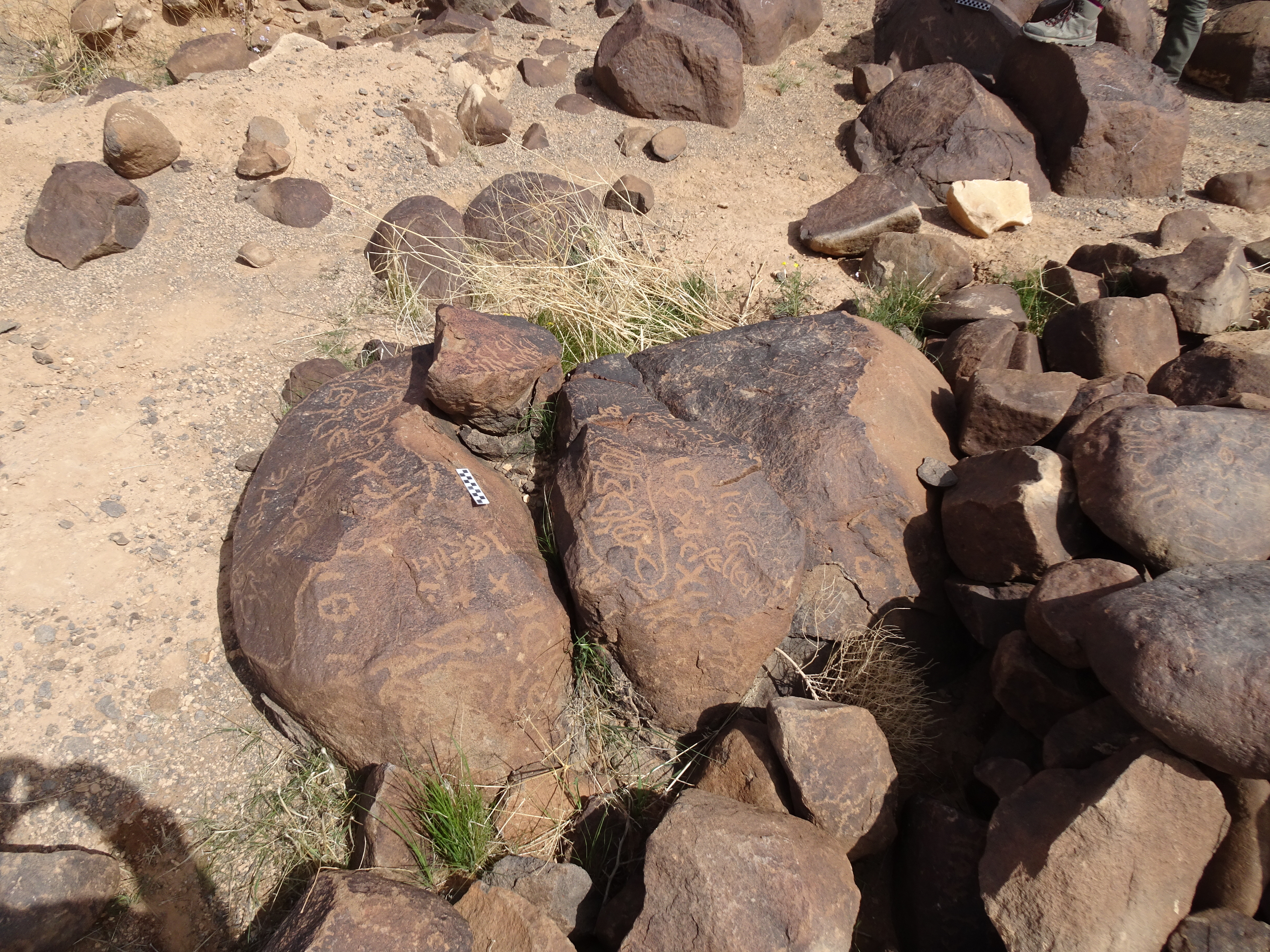 Image of siglum BES20 1781