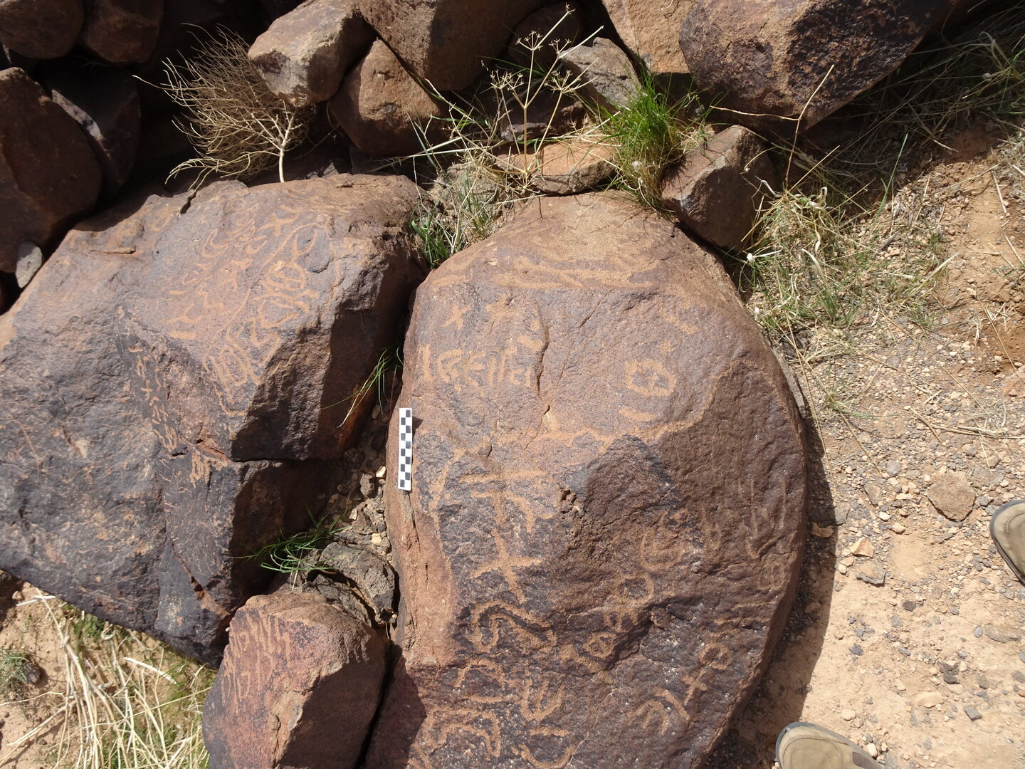 Image of siglum BES20 1781