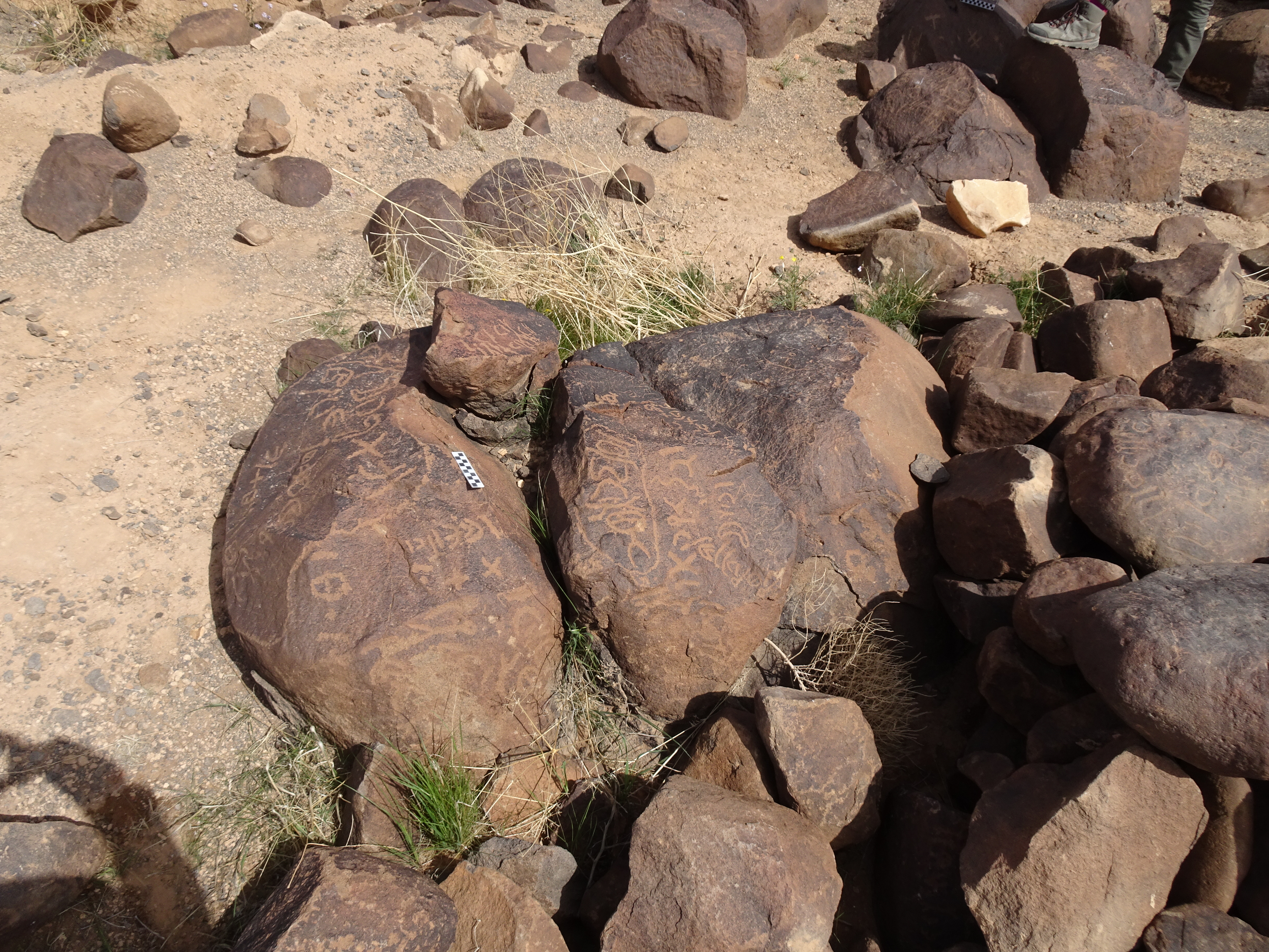 Image of siglum BES20 1784