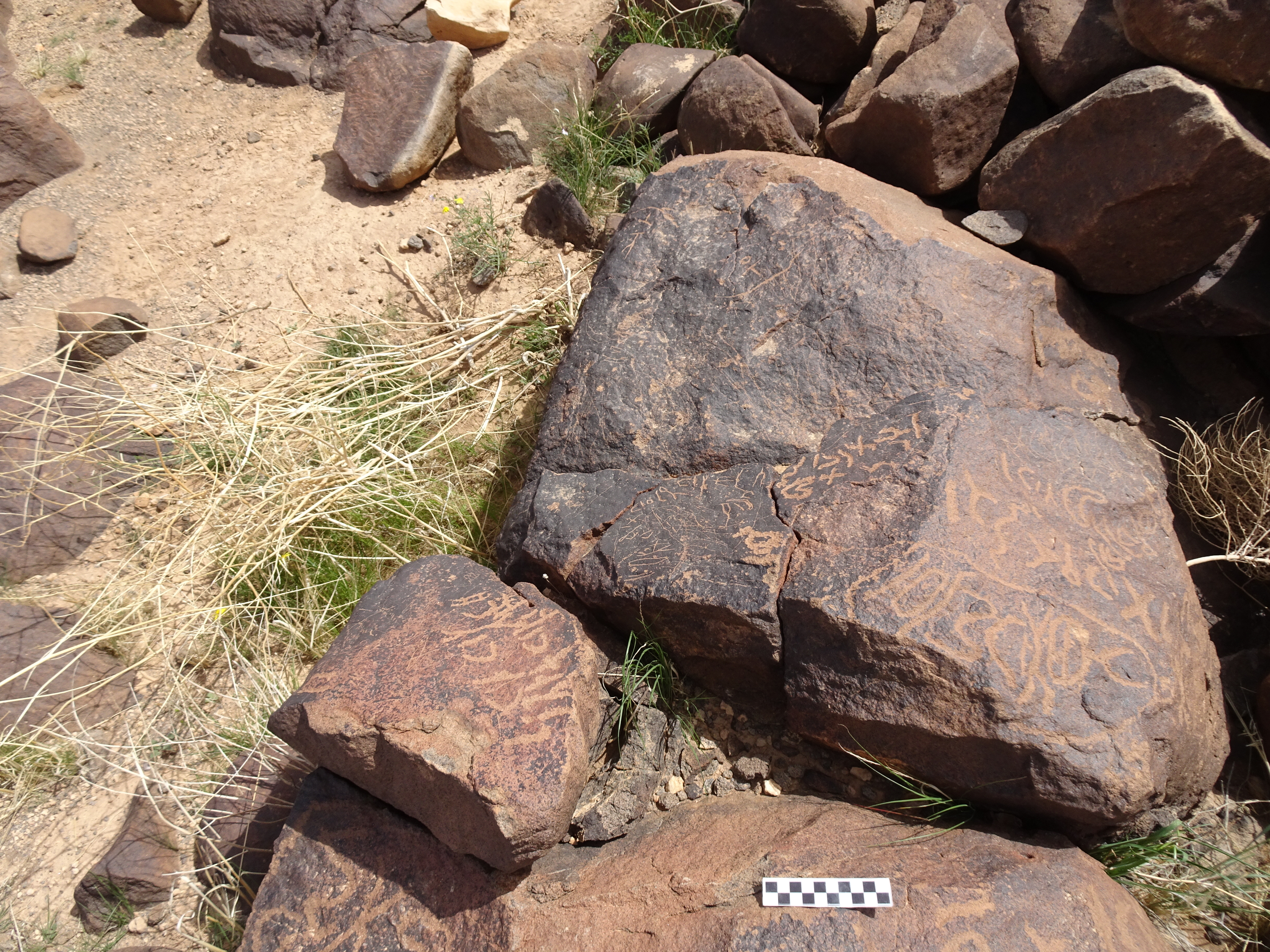 Image of siglum BES20 1794