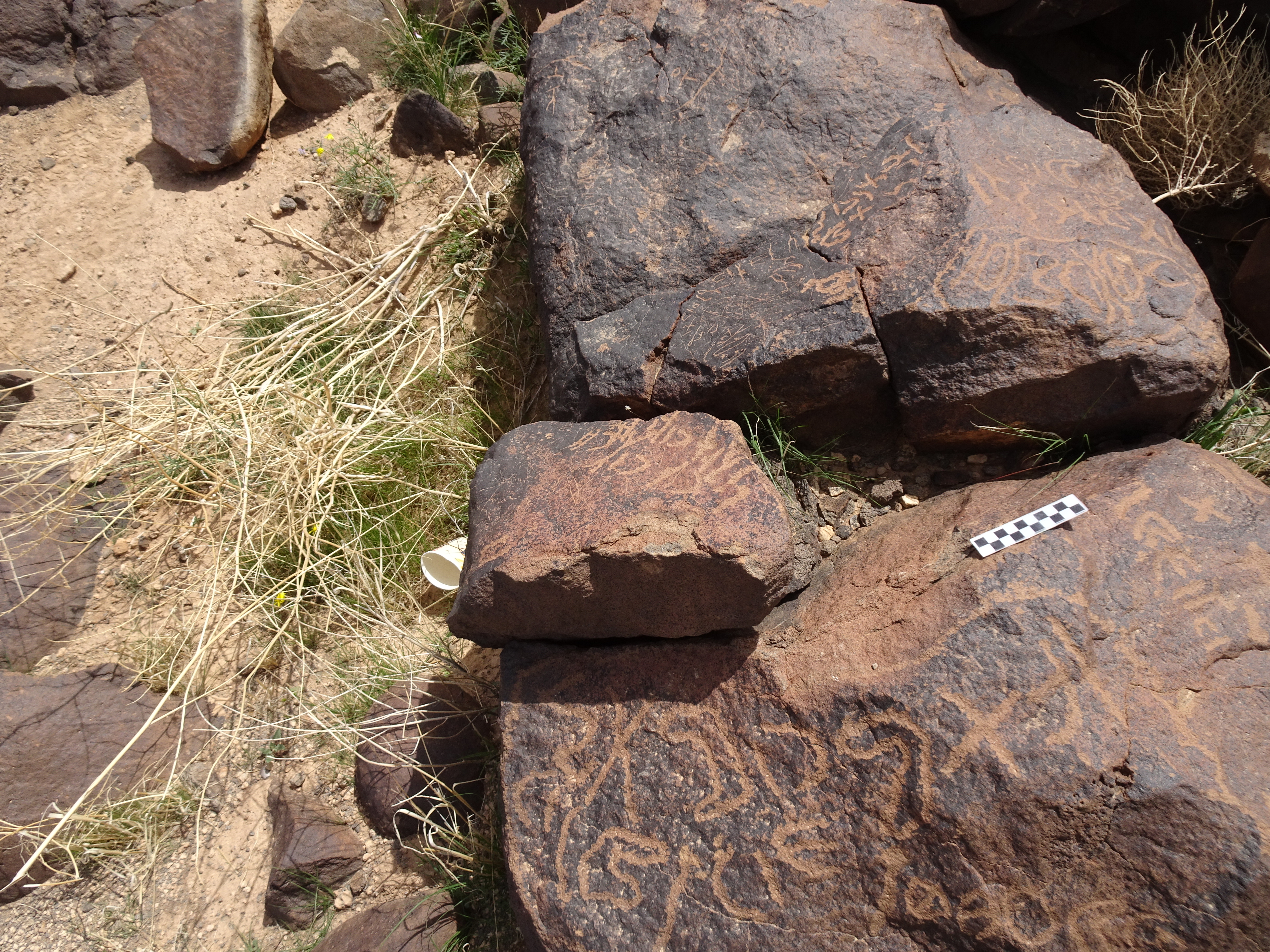 Image of siglum BES20 1794