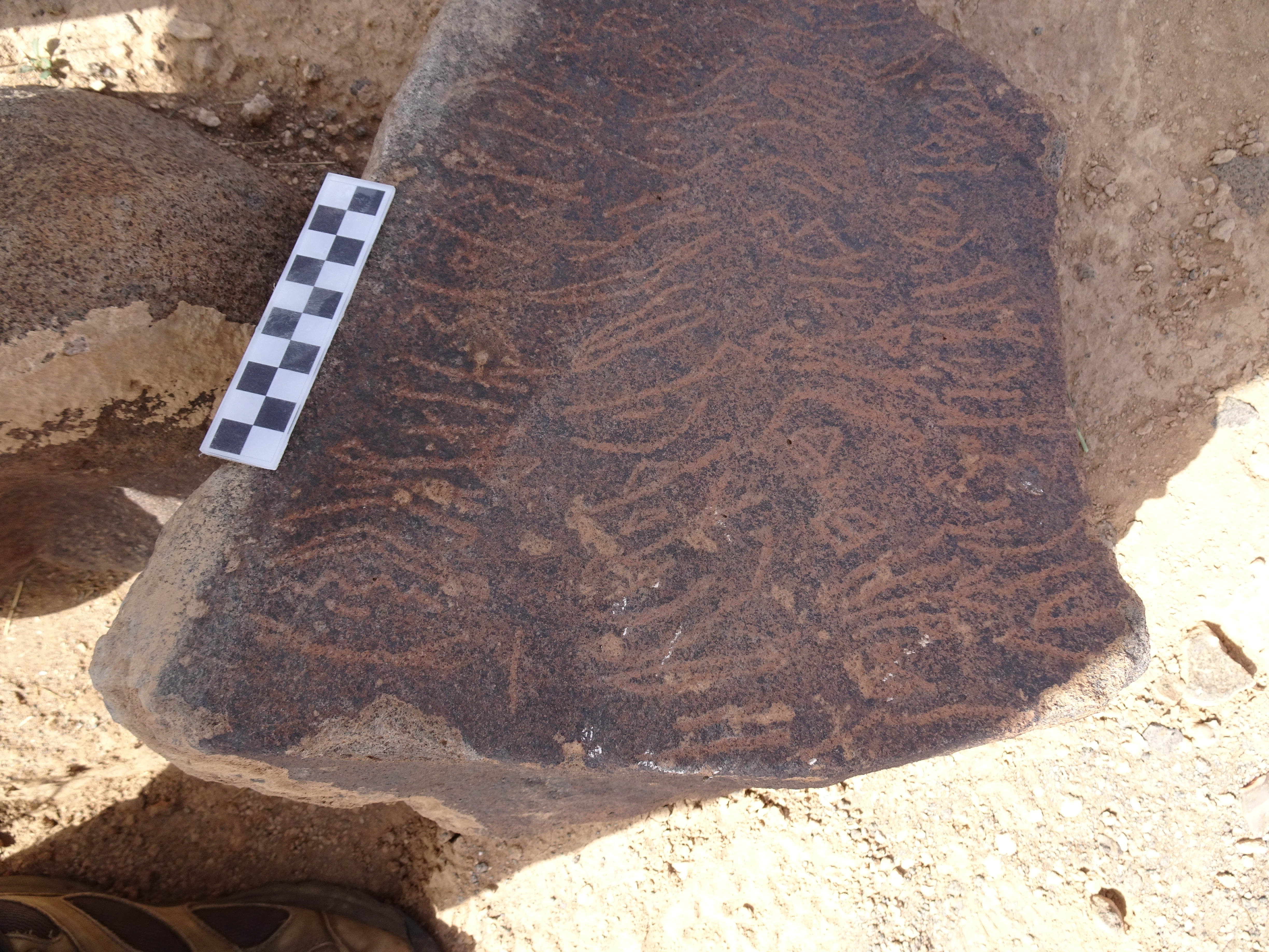 Image of siglum BES20 1795