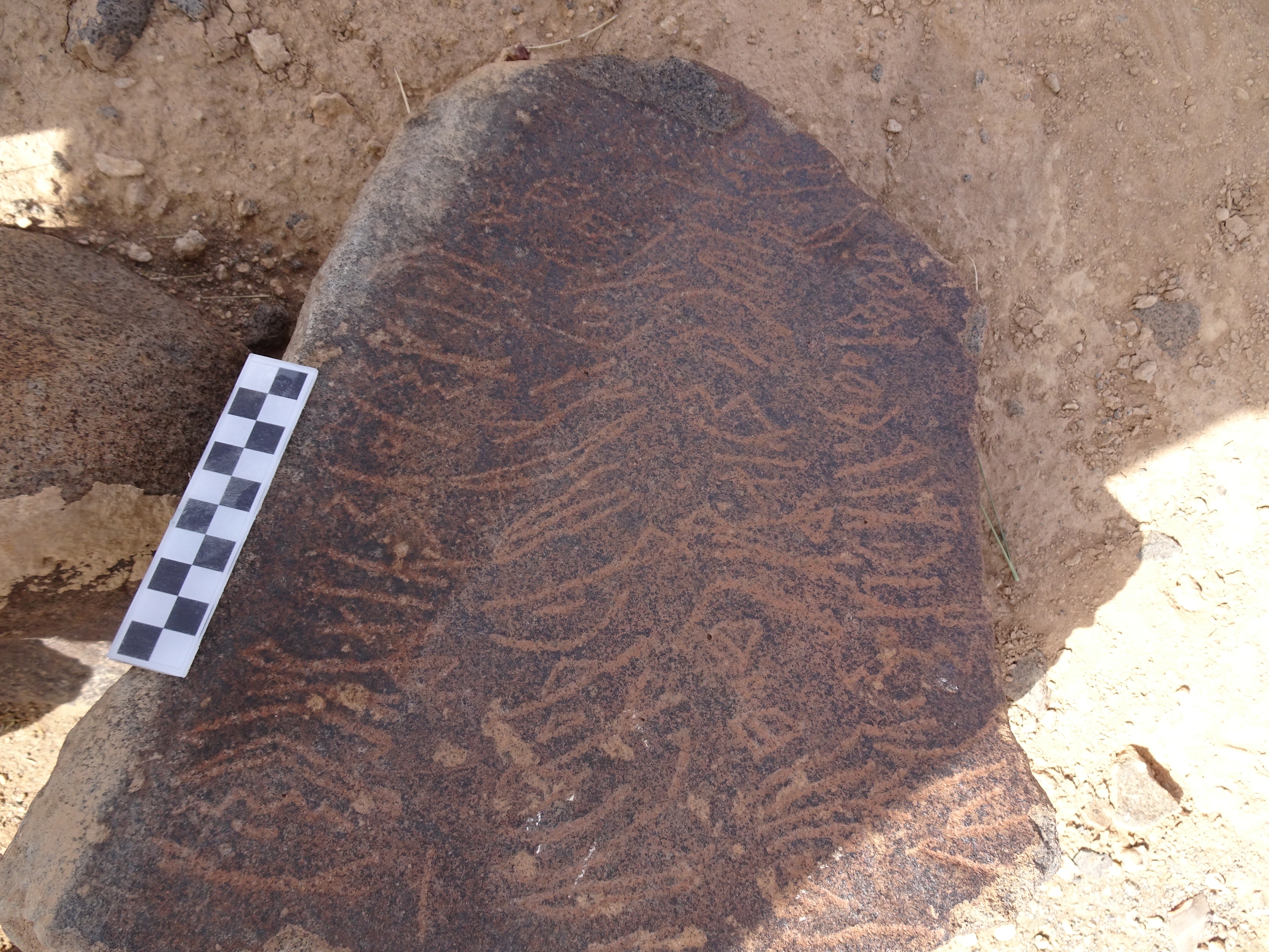 Image of siglum BES20 1795