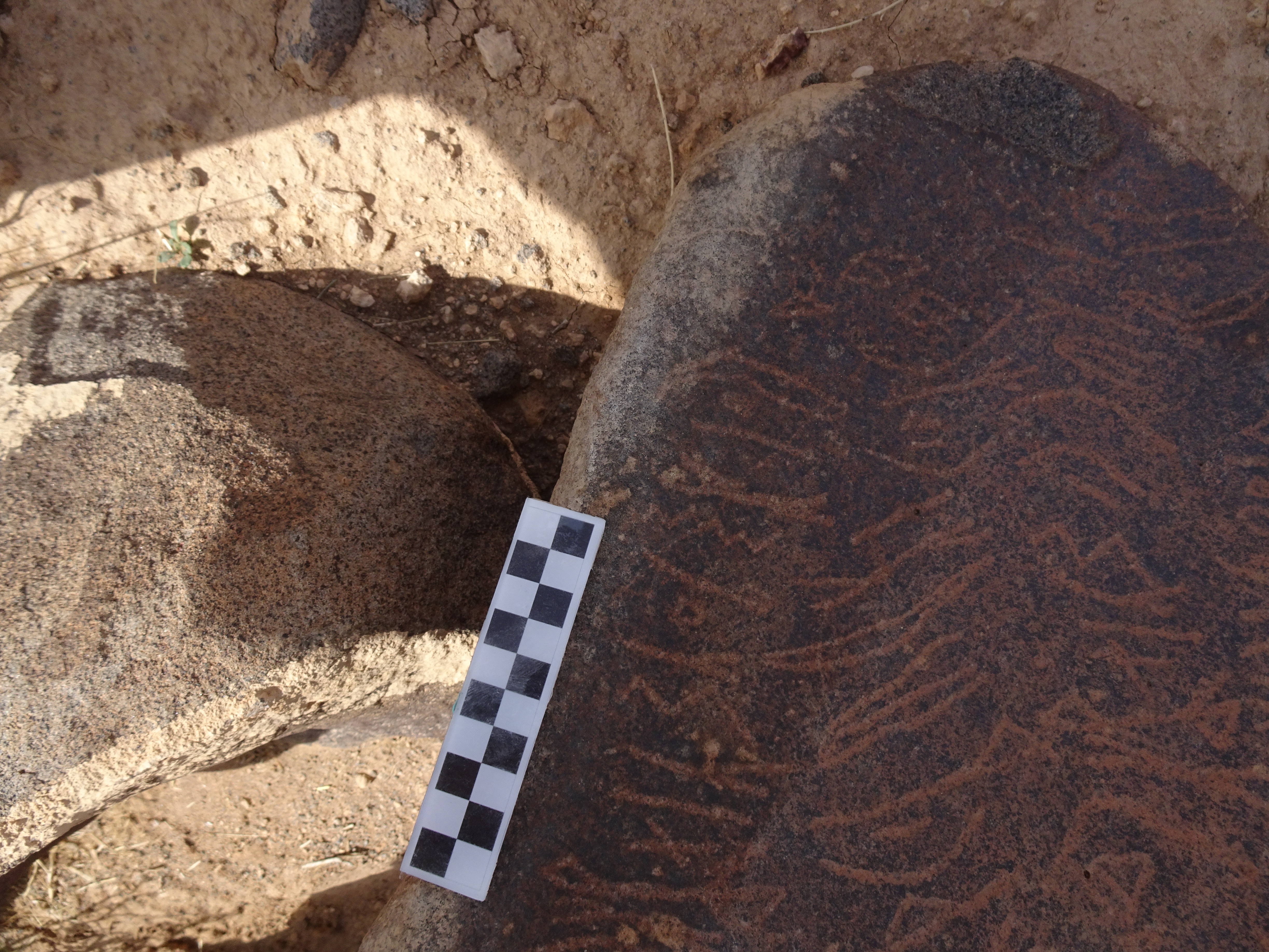 Image of siglum BES20 1795