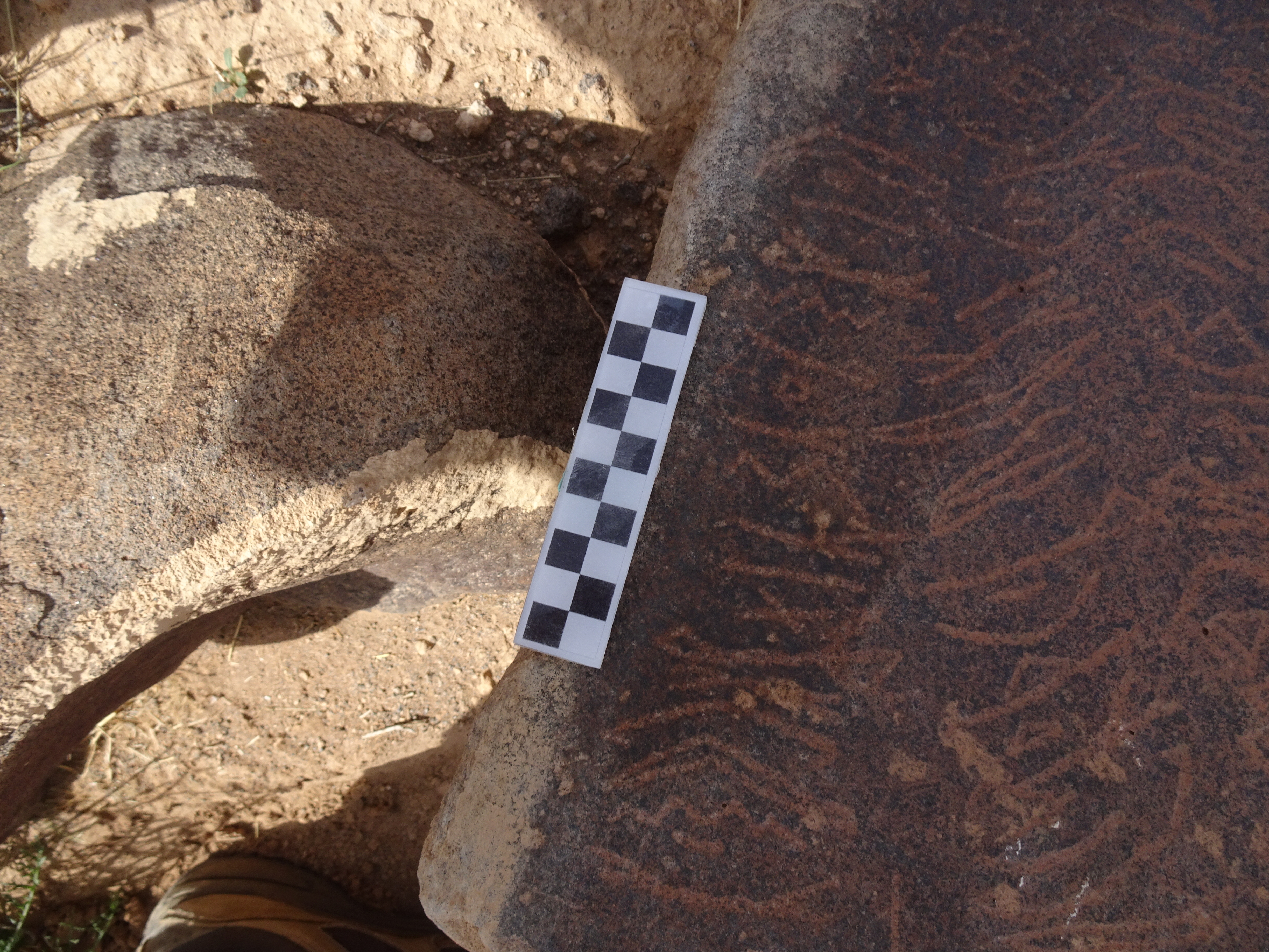 Image of siglum BES20 1795