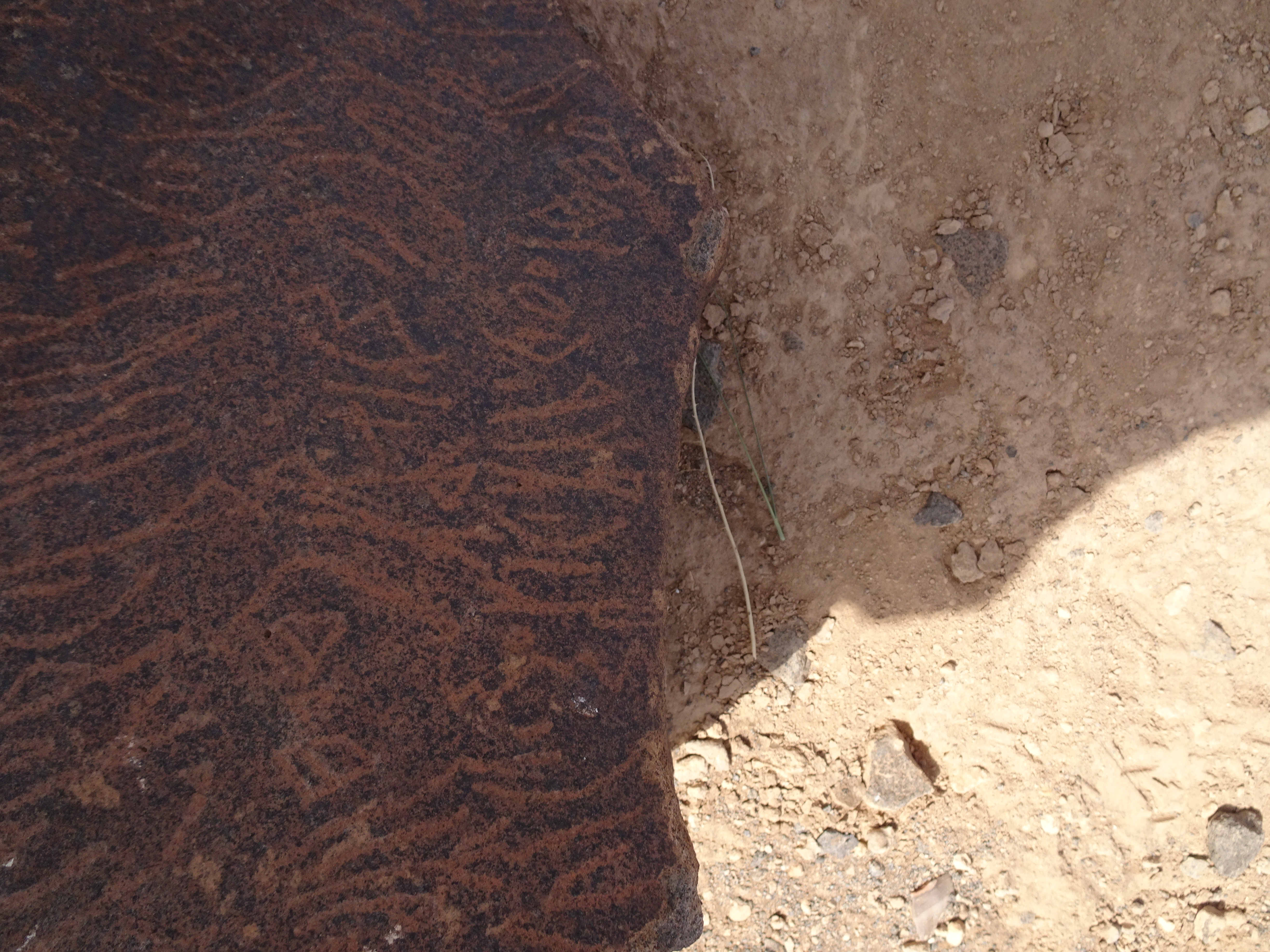 Image of siglum BES20 1795