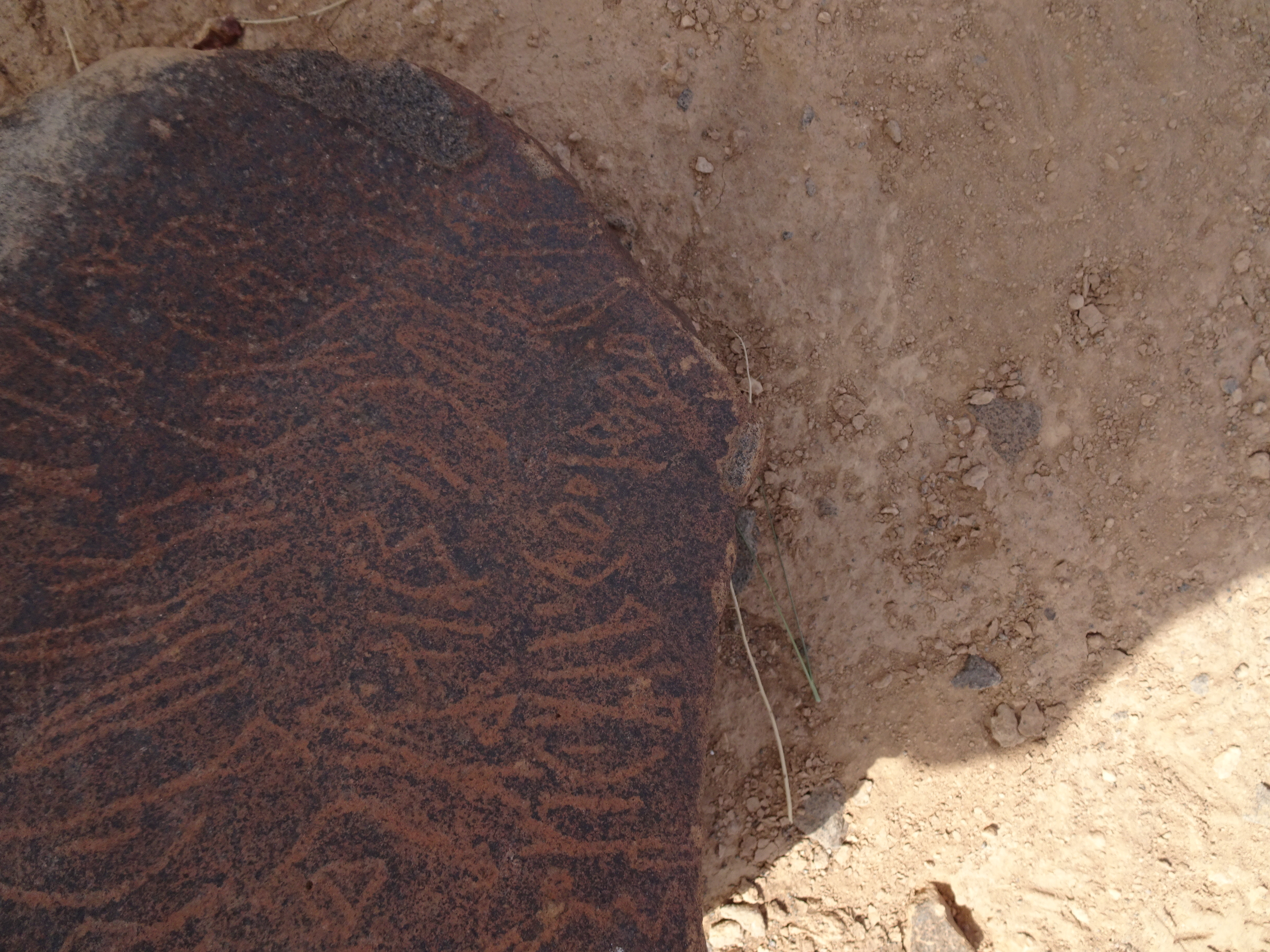 Image of siglum BES20 1795