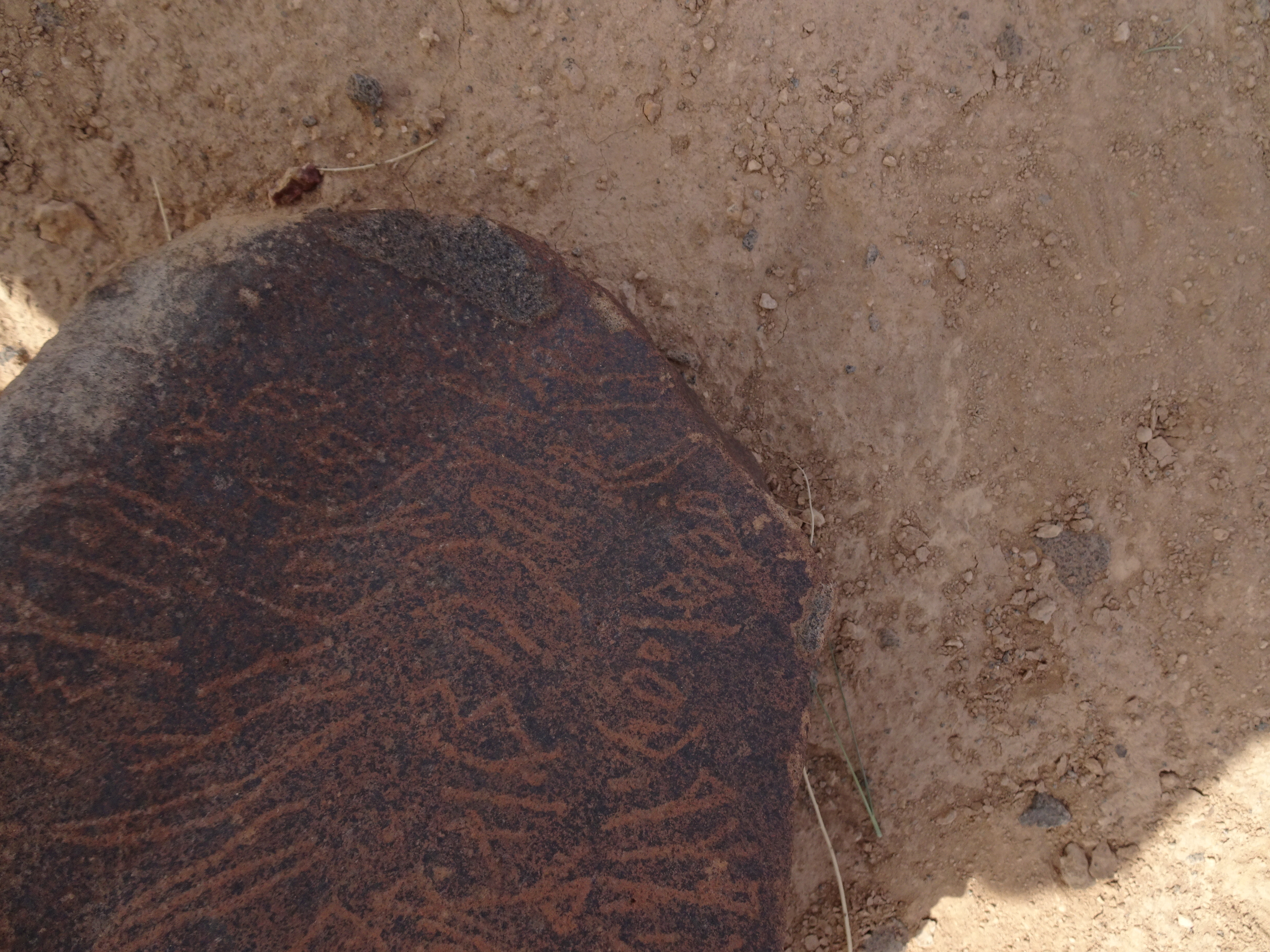 Image of siglum BES20 1795