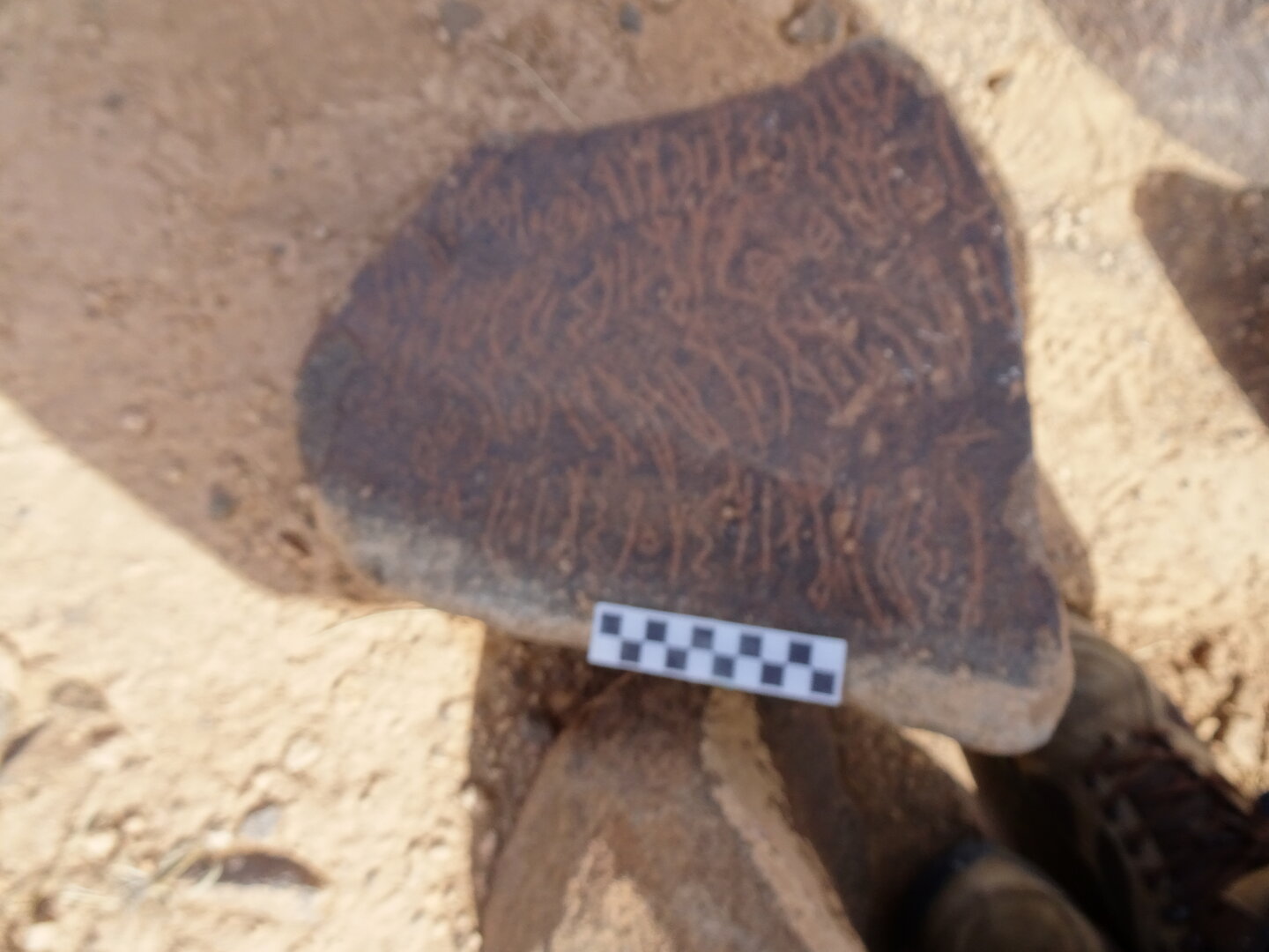 Image of siglum BES20 1795