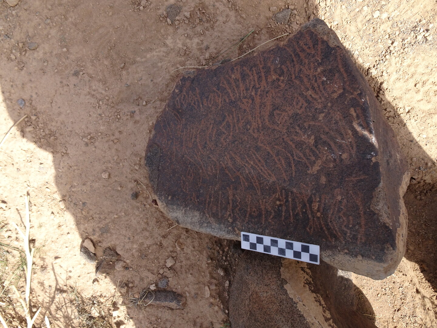 Image of siglum BES20 1795
