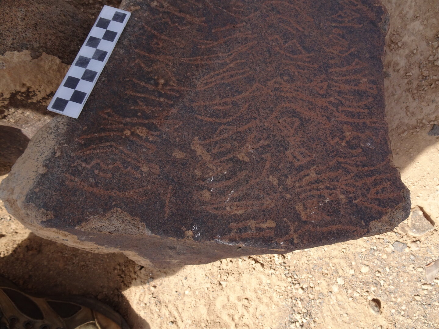 Image of siglum BES20 1795