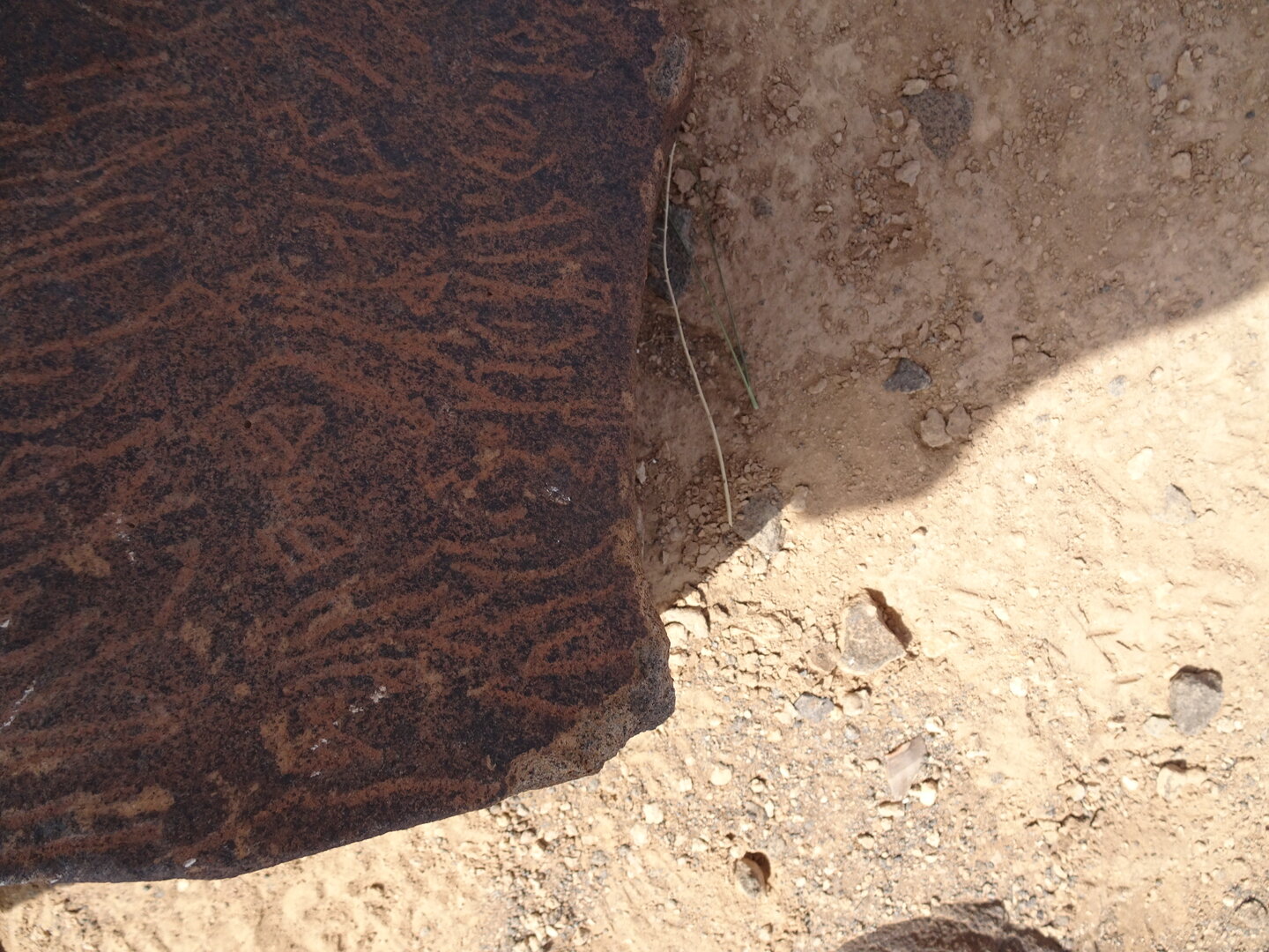 Image of siglum BES20 1795