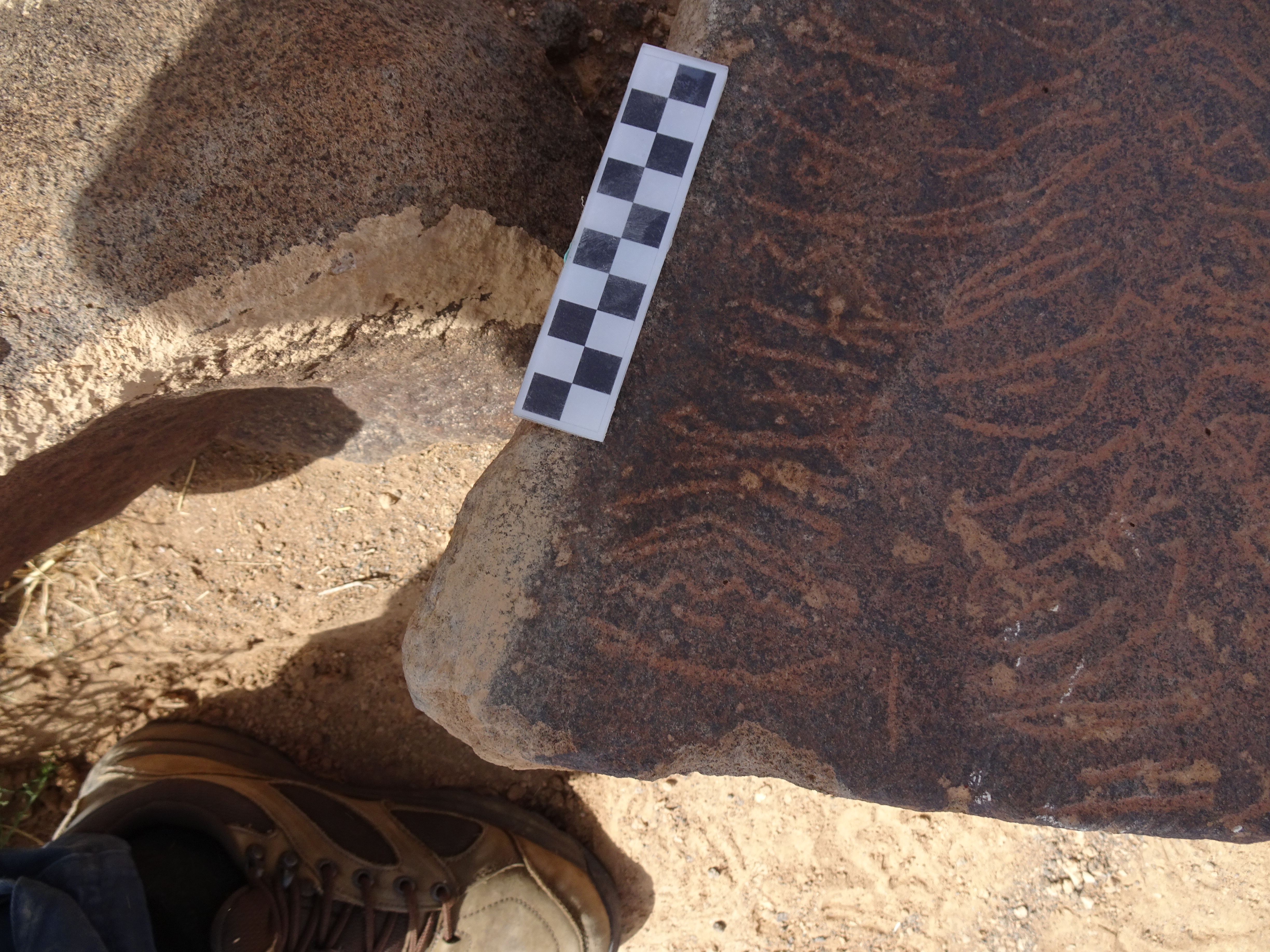 Image of siglum BES20 1796