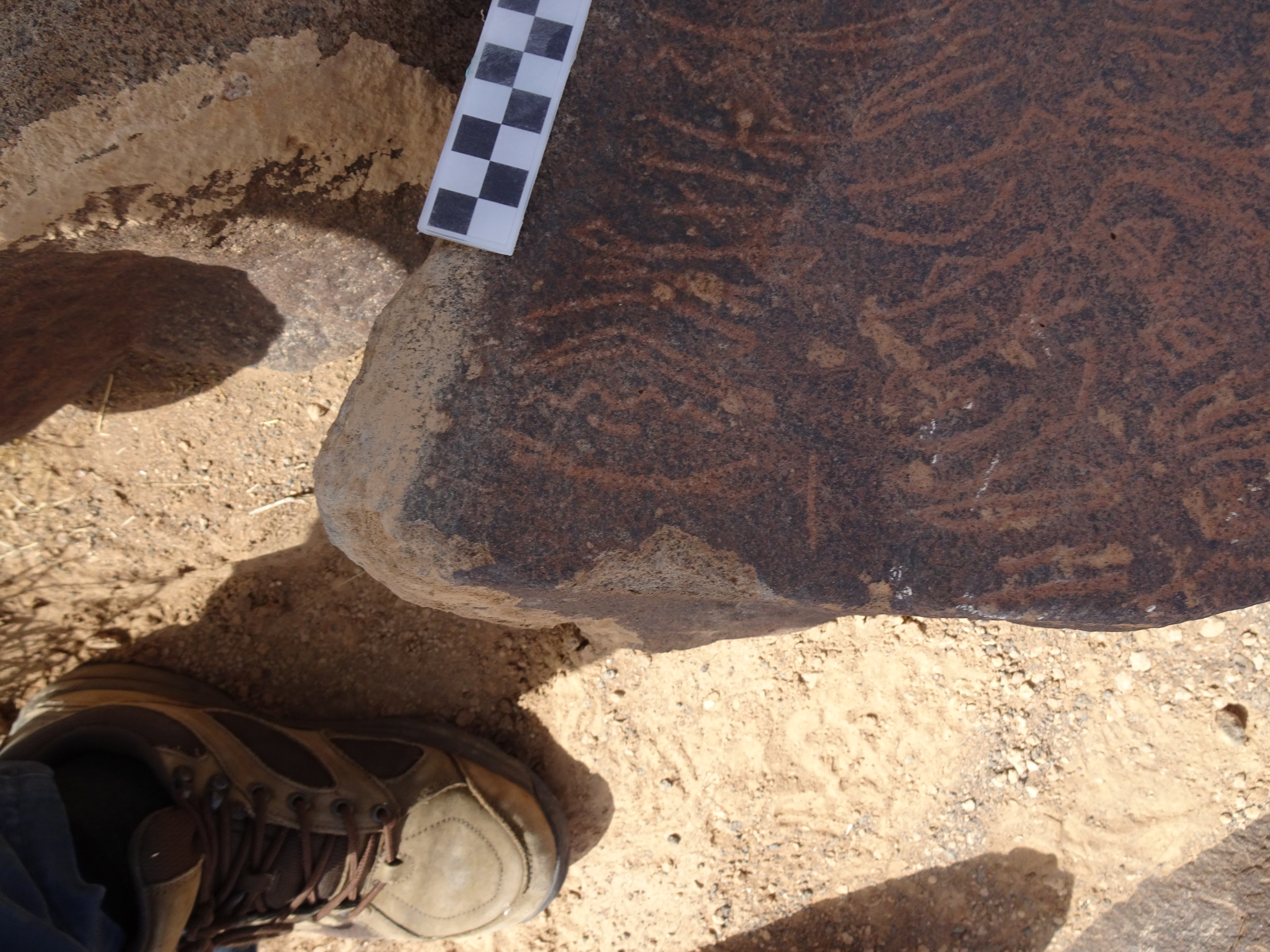 Image of siglum BES20 1796