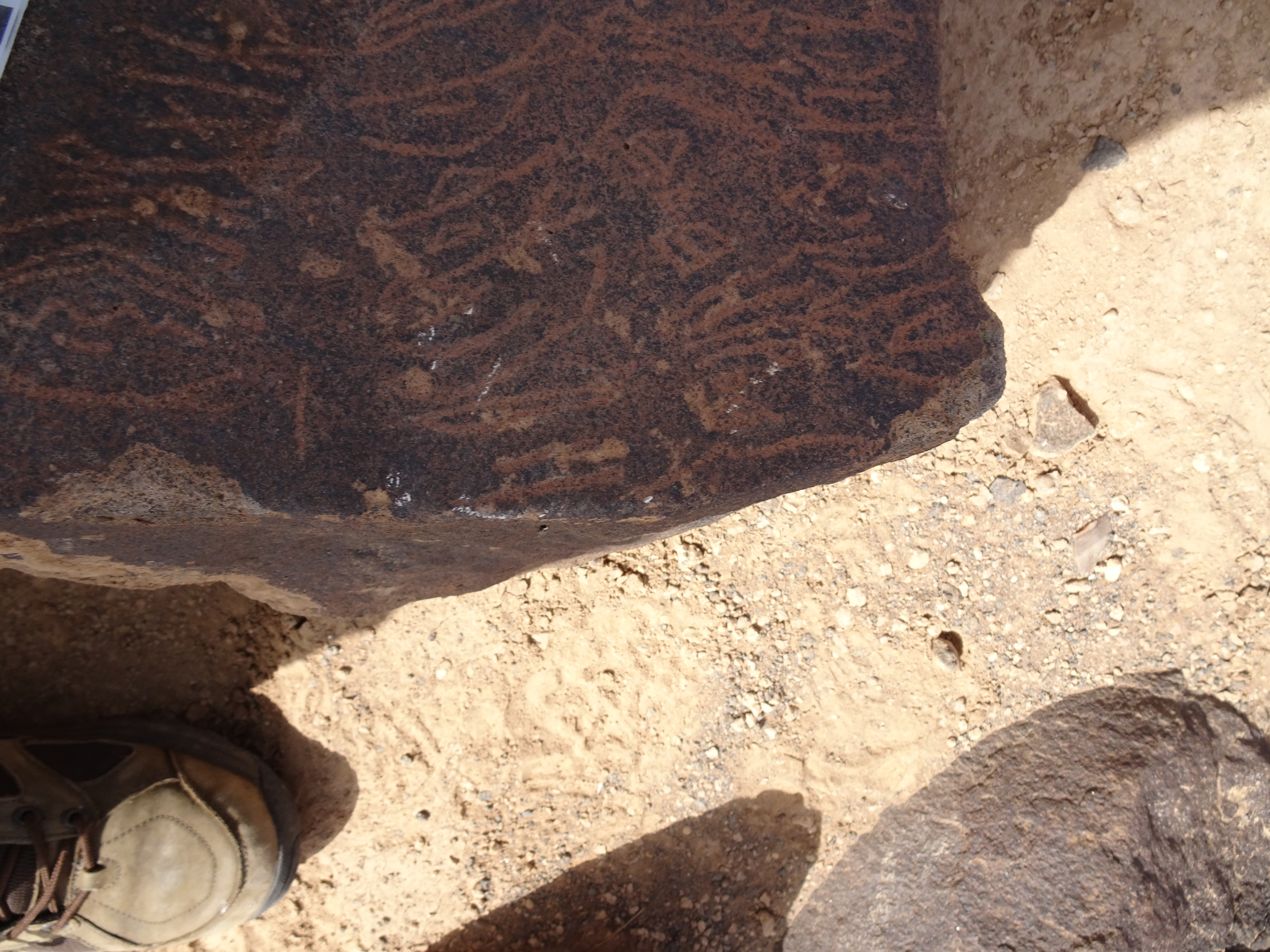 Image of siglum BES20 1796