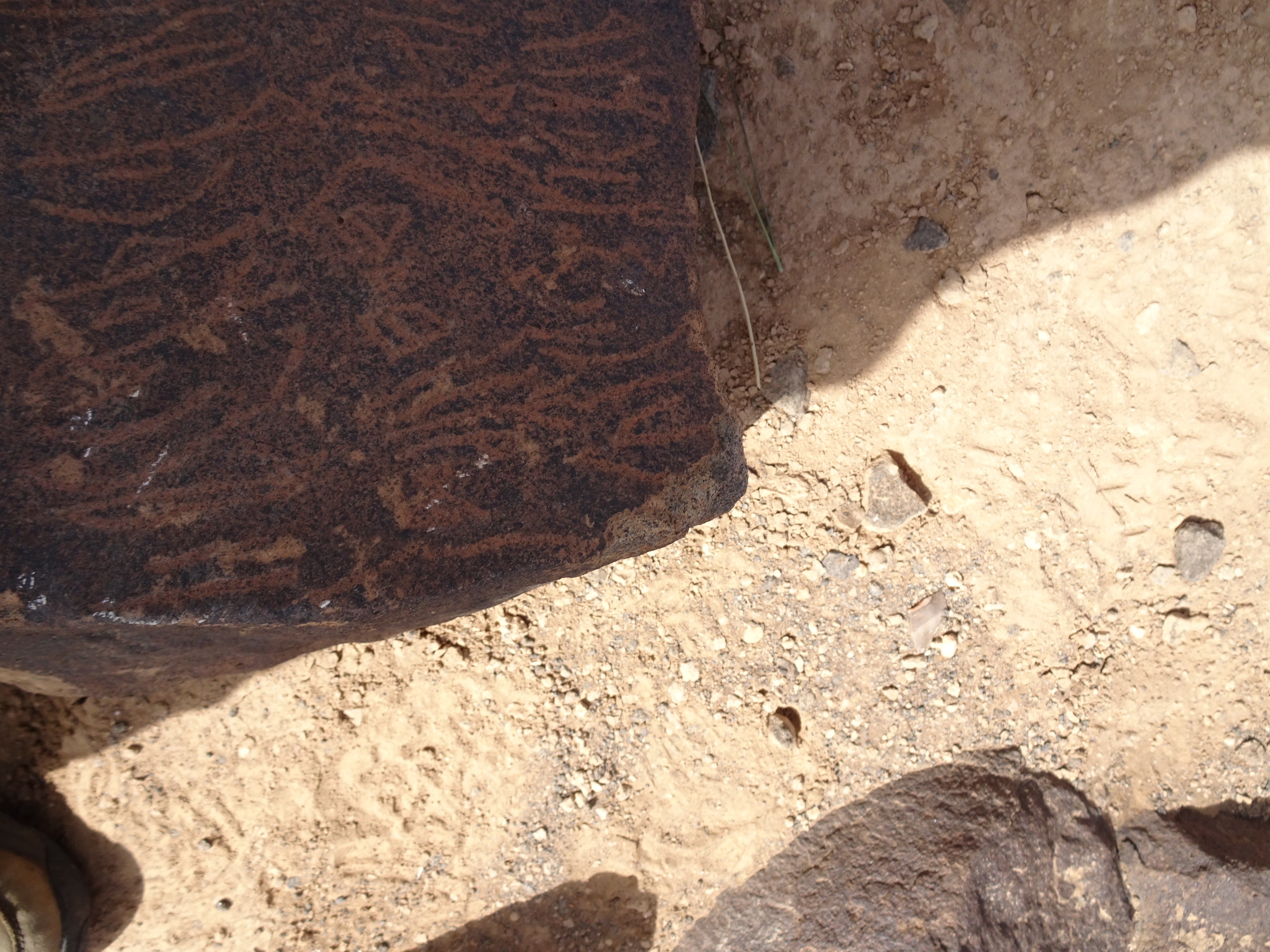 Image of siglum BES20 1796