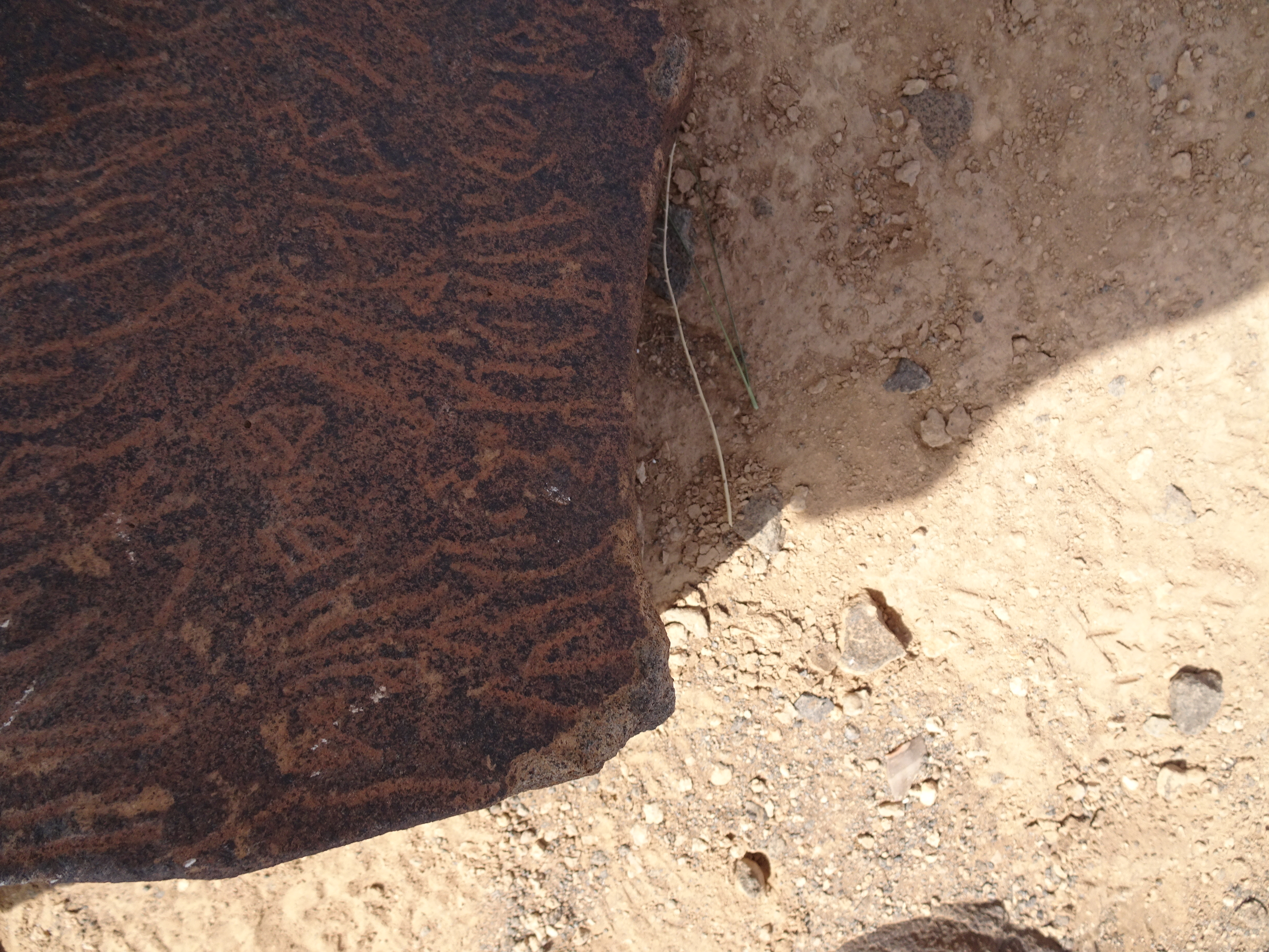 Image of siglum BES20 1796