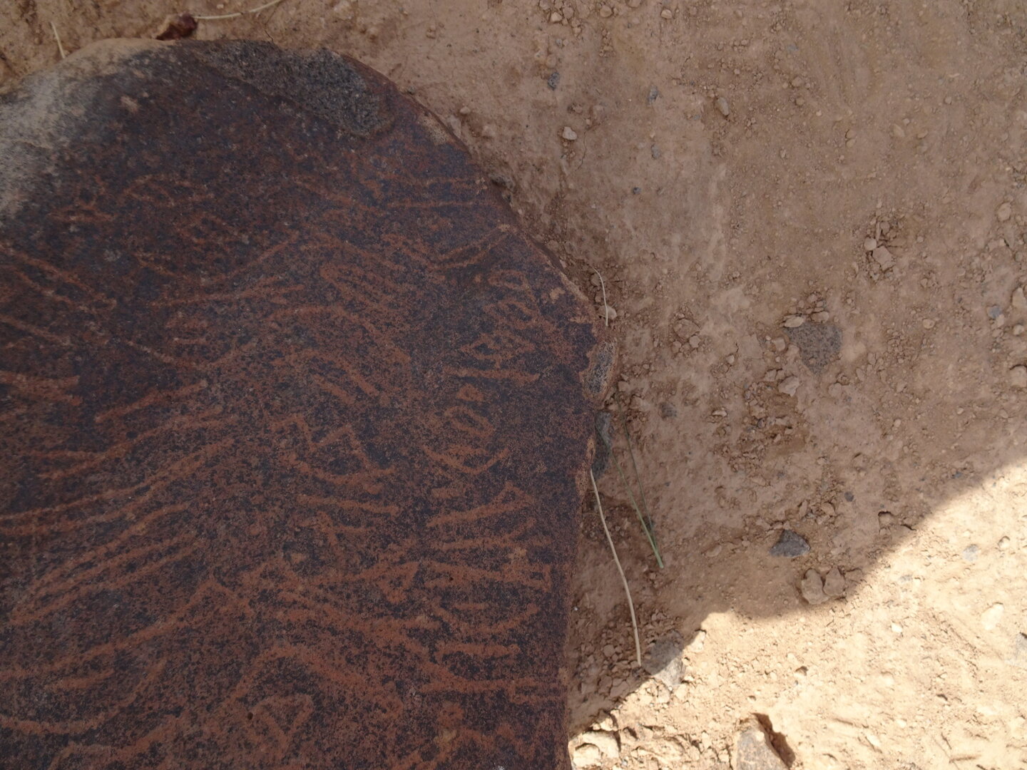 Image of siglum BES20 1796
