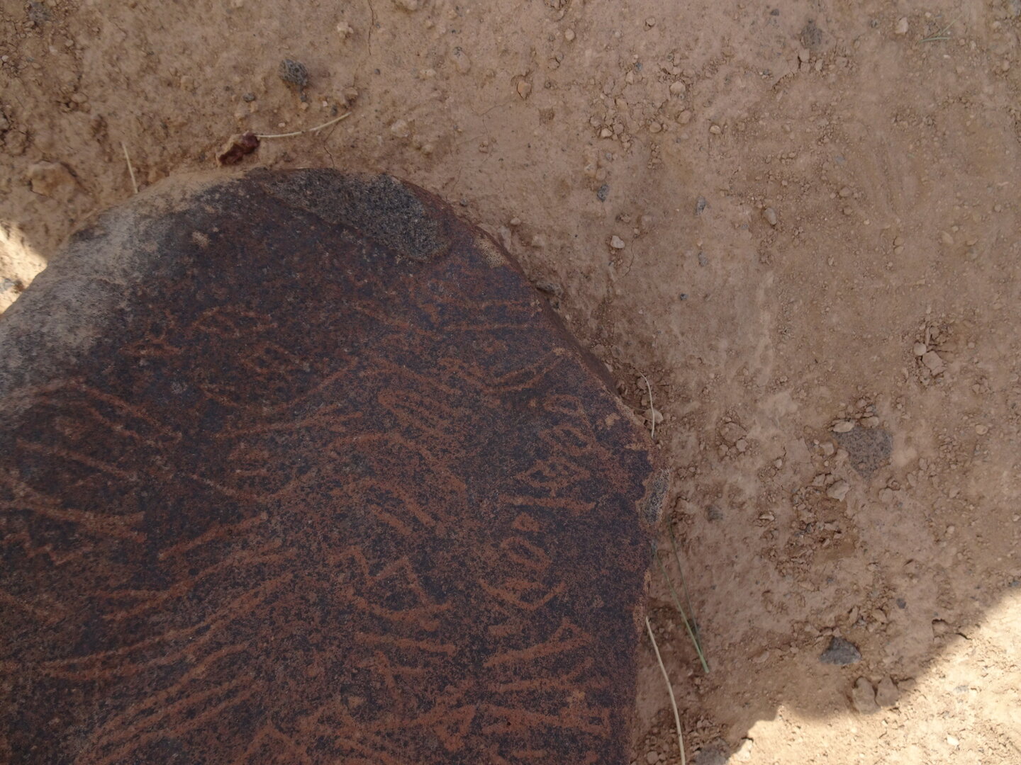 Image of siglum BES20 1796