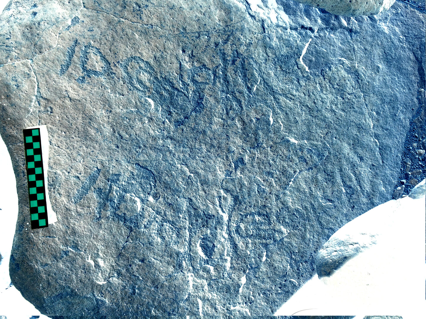 inscription of siglum BES20 18